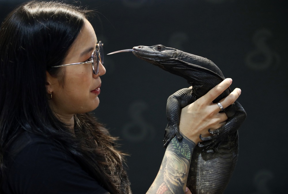 The Thailand Reptile and Exotic pet expo, and more from around the world