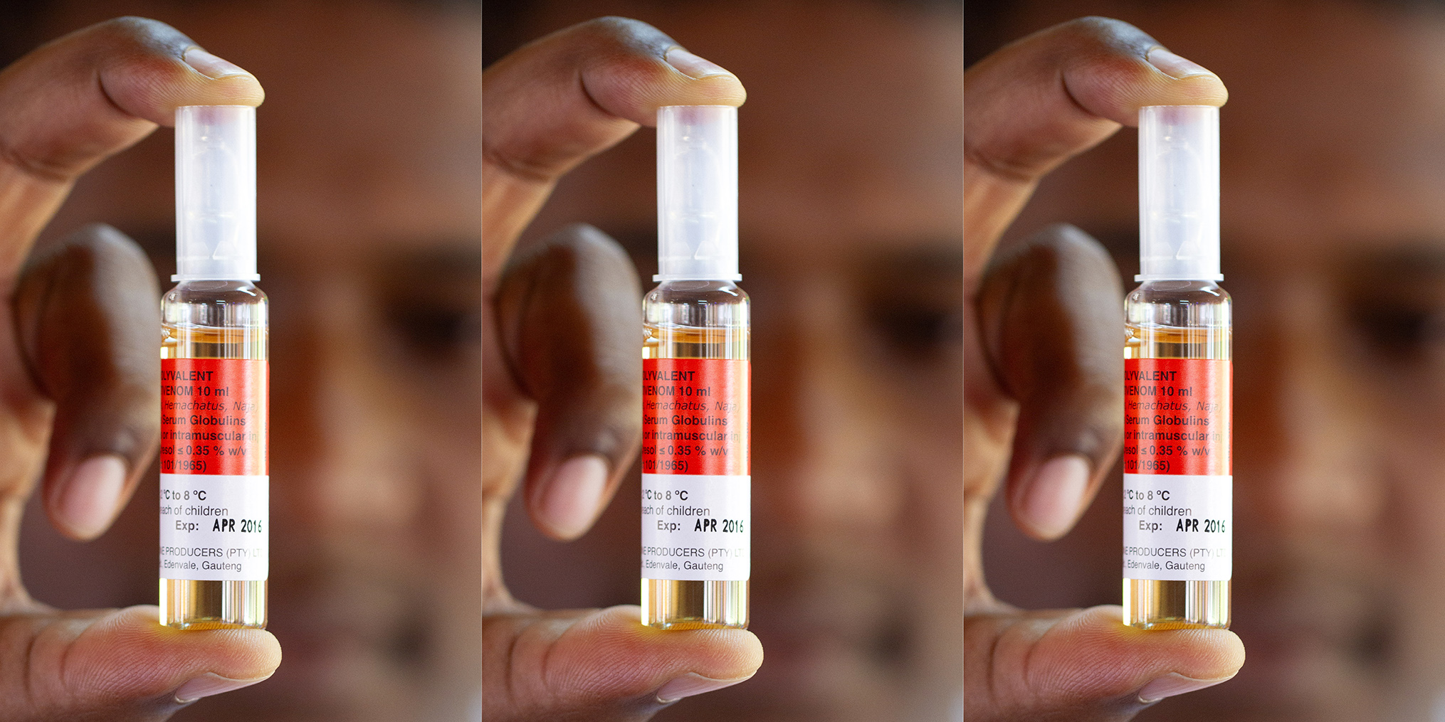 Snake antivenom mired by shortages and side effects – a new treatment could boost our options 