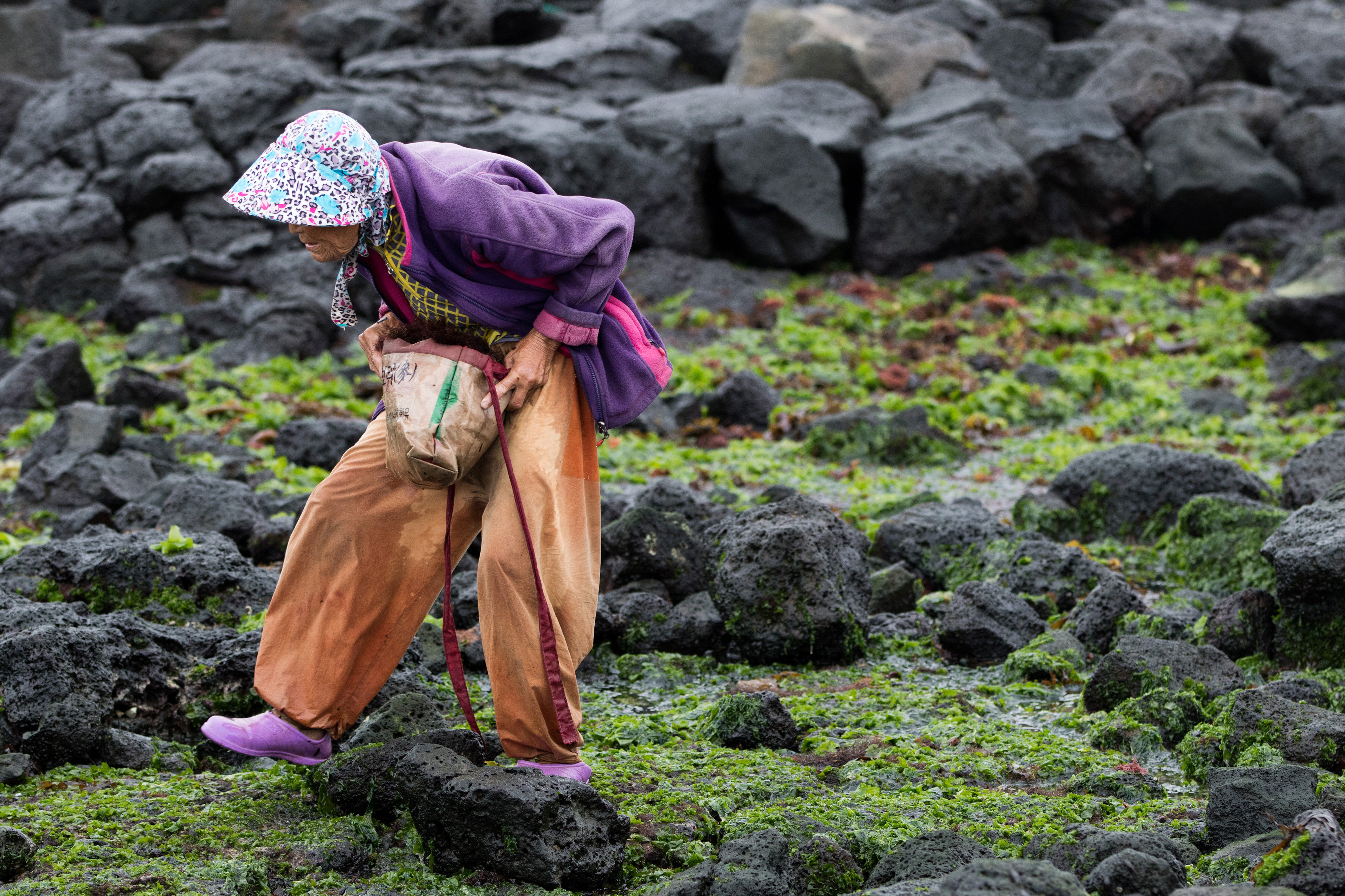 The health benefits of seaweed – a bath full of bladderwrack might be just what the doctor ordered