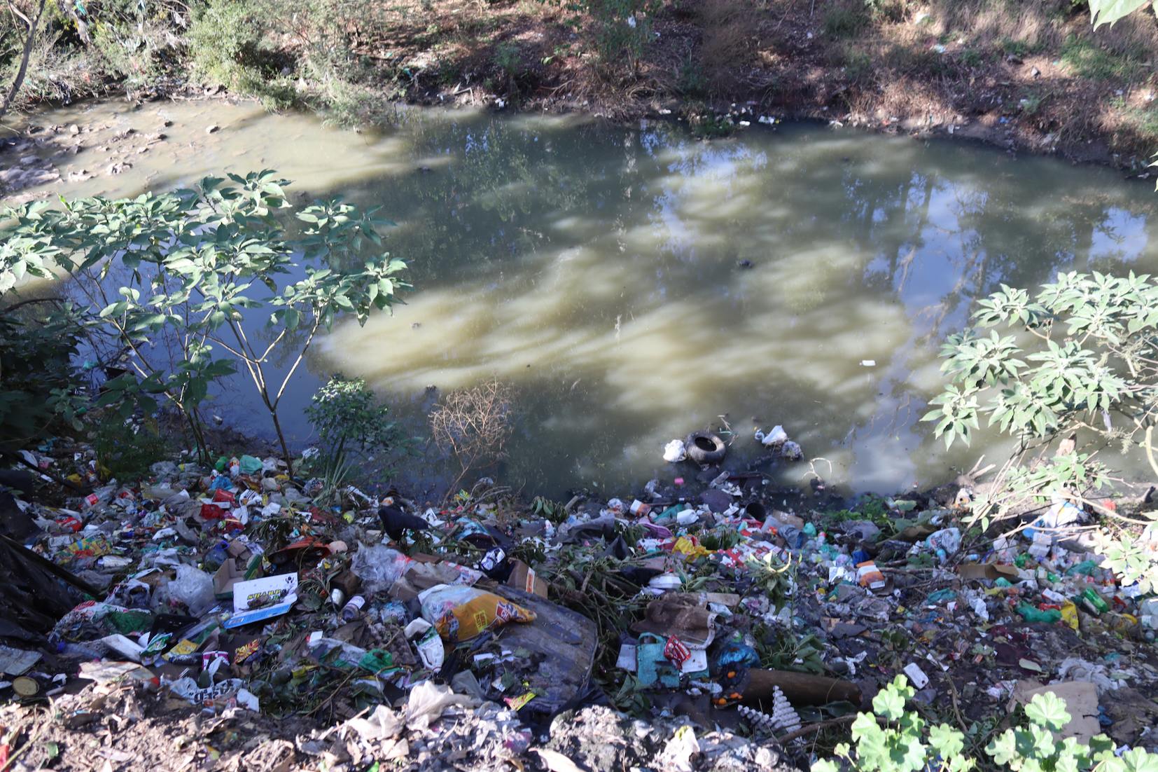 Eight years and counting – raw sewage pouring continuously into Butterworth river