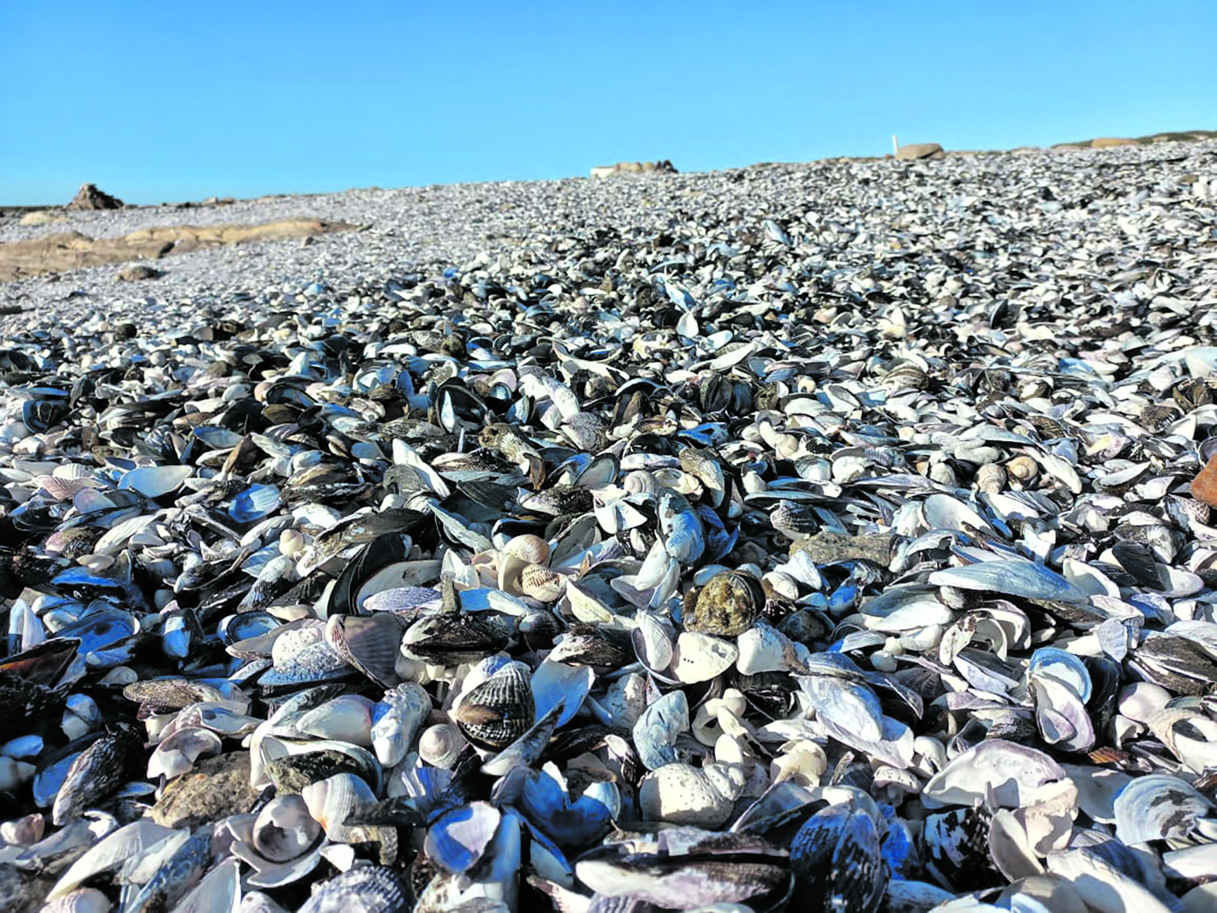 Finding the stark and derelict on a long walk along the West Coast