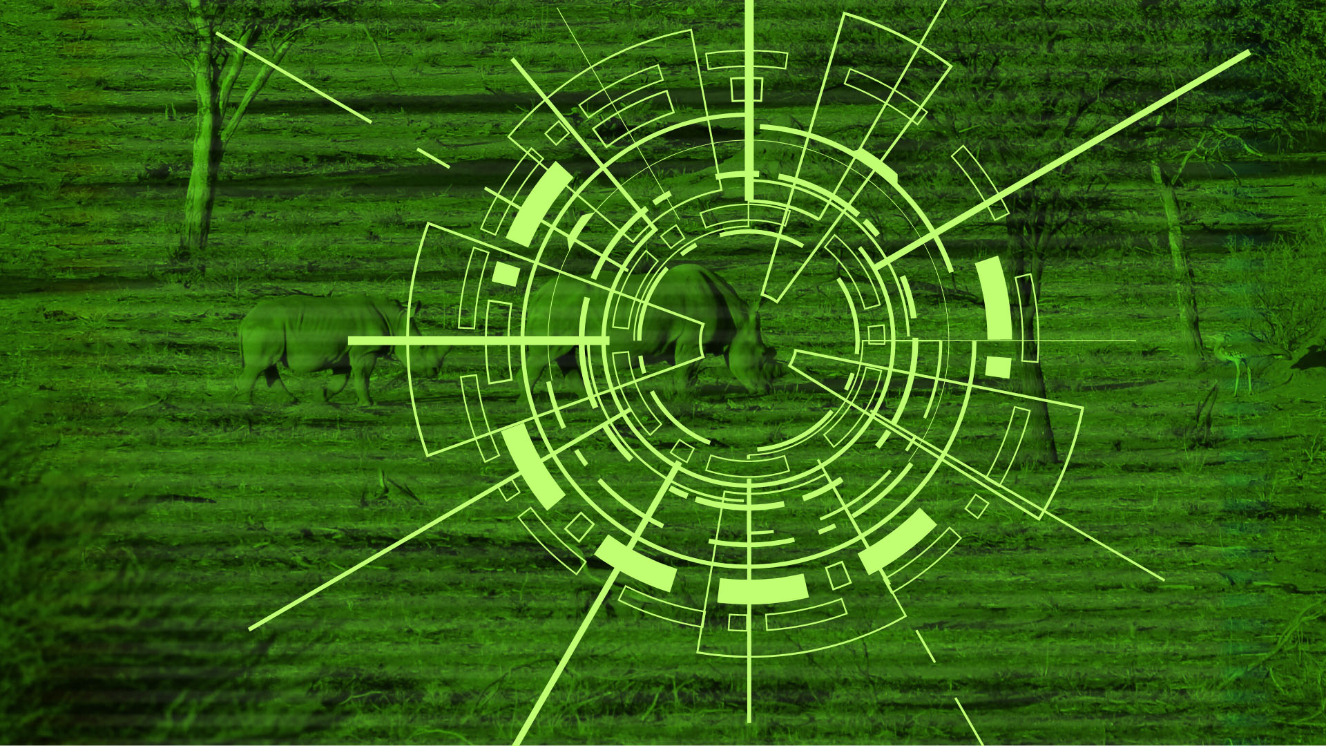 AI can turn the tide on organised environmental crime in Africa