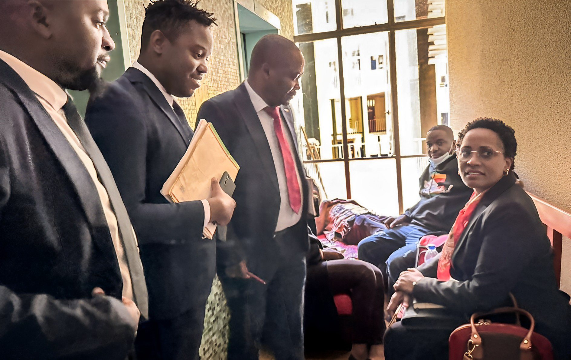 UN Special Rapporteur joins the call for the release of detained Zimbabwean human rights defenders