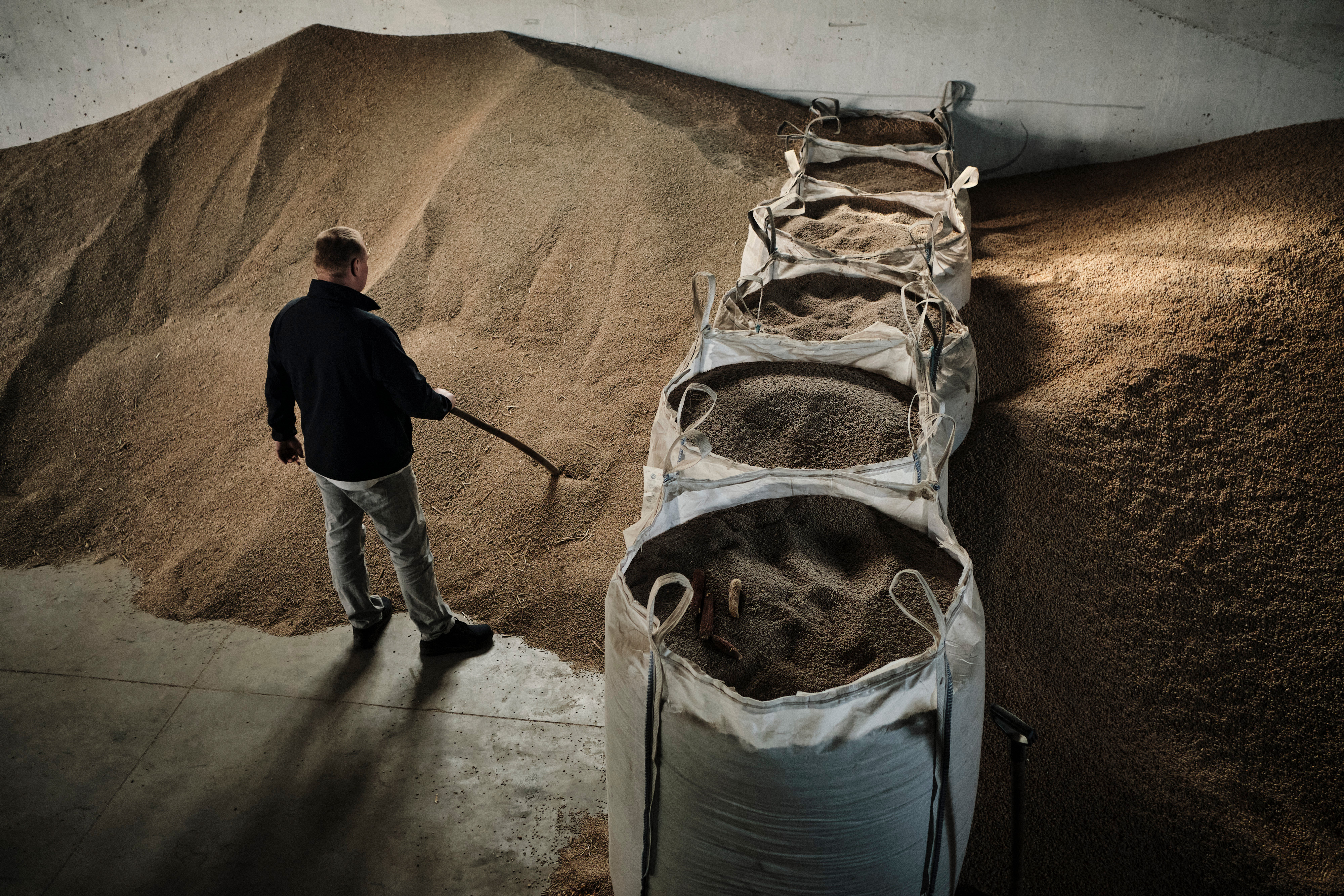 China’s fading hunger for grain spells trouble for world farmers