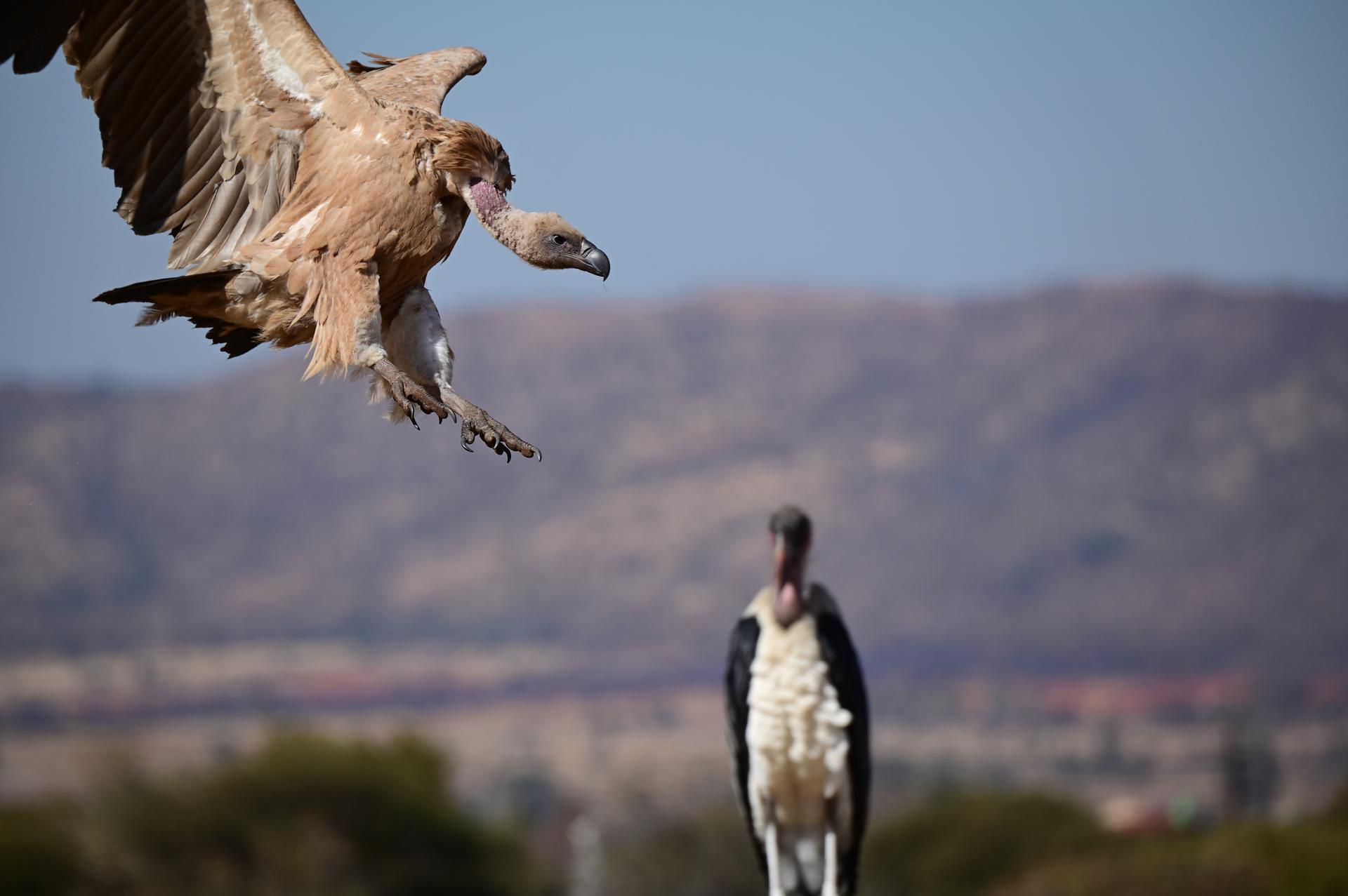 P4U_readersubmission_20240920