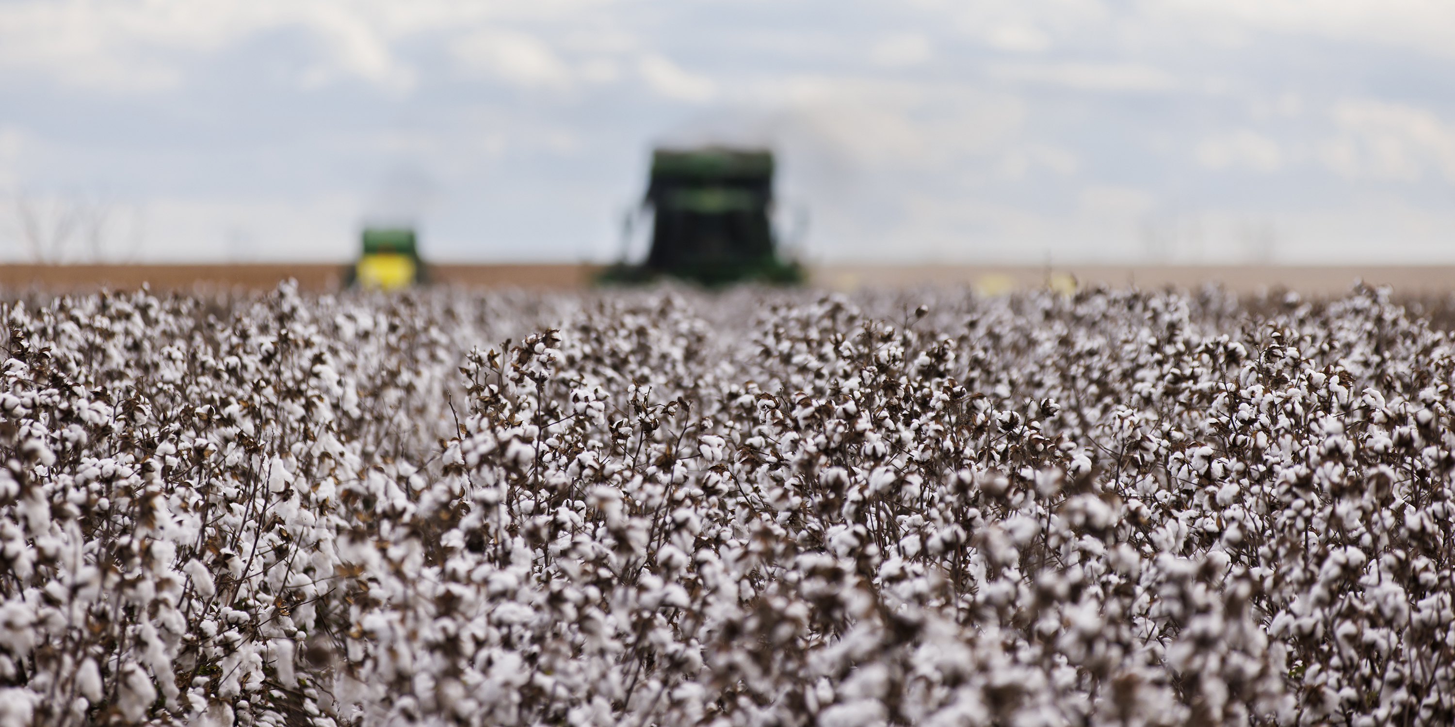 Cottoning on — Retailer group’s cotton project is a win for small-scale farmers and sustainability