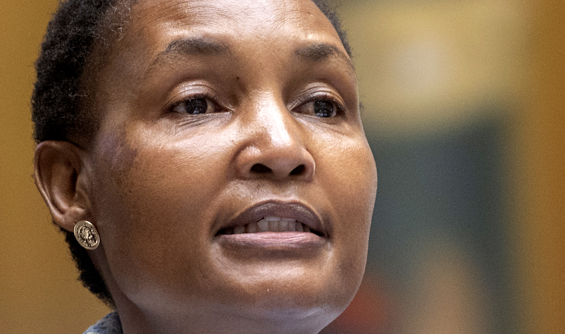 The legal conundrum at the heart of any probe into Justice Minister Thembi Simelane