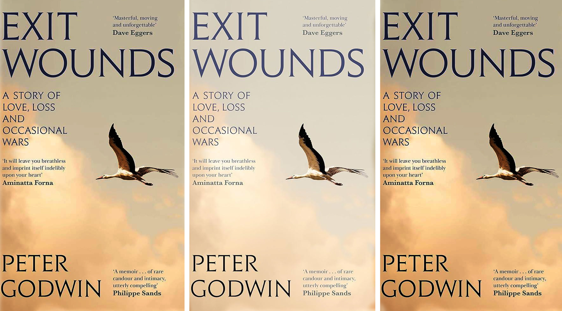 Exit Wounds - ‘A fascinating wormhole between this world and the next’