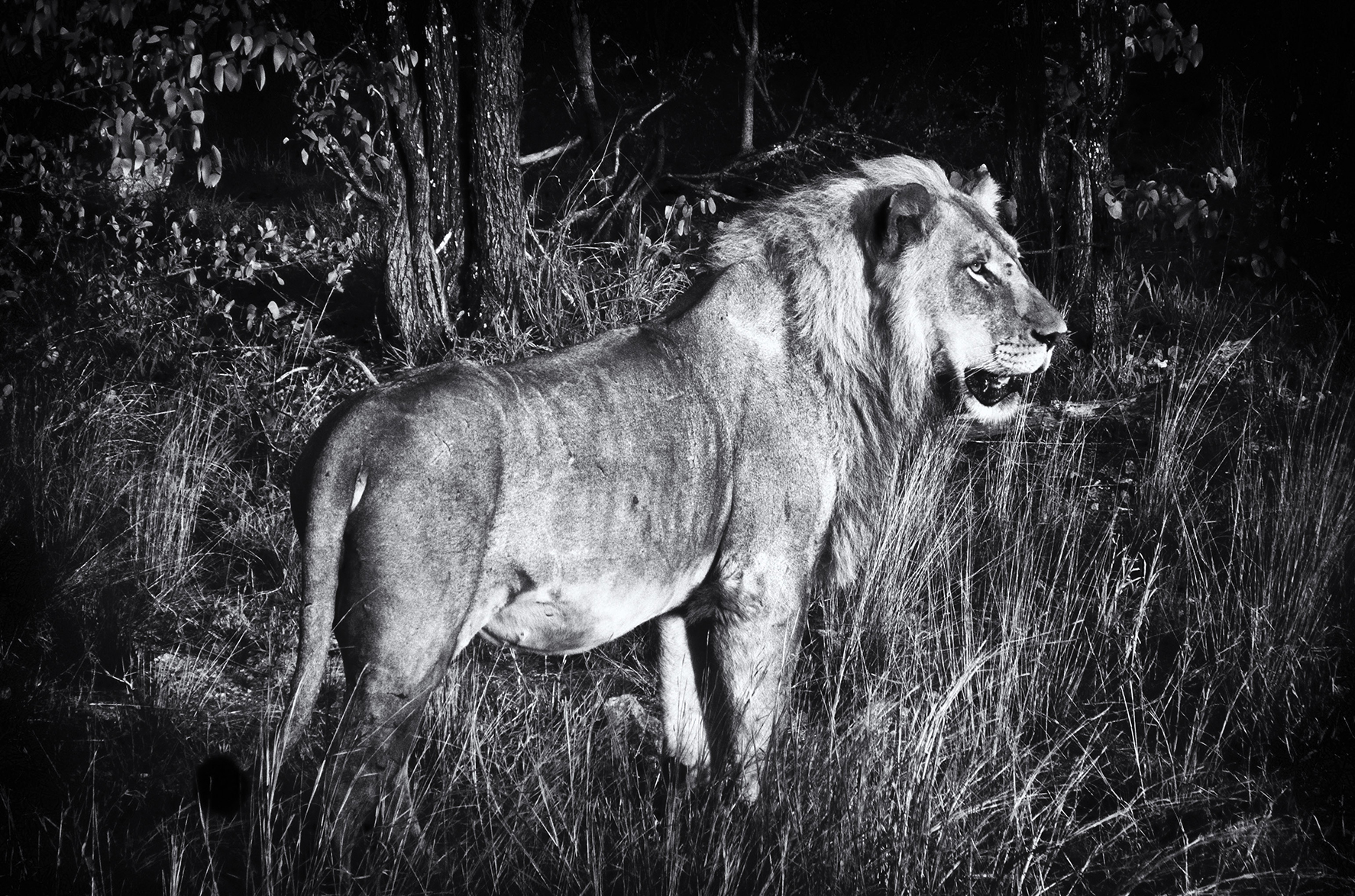 Hunters’ association fires first salvo at state law legislating ‘wellbeing’ considerations of wild animals