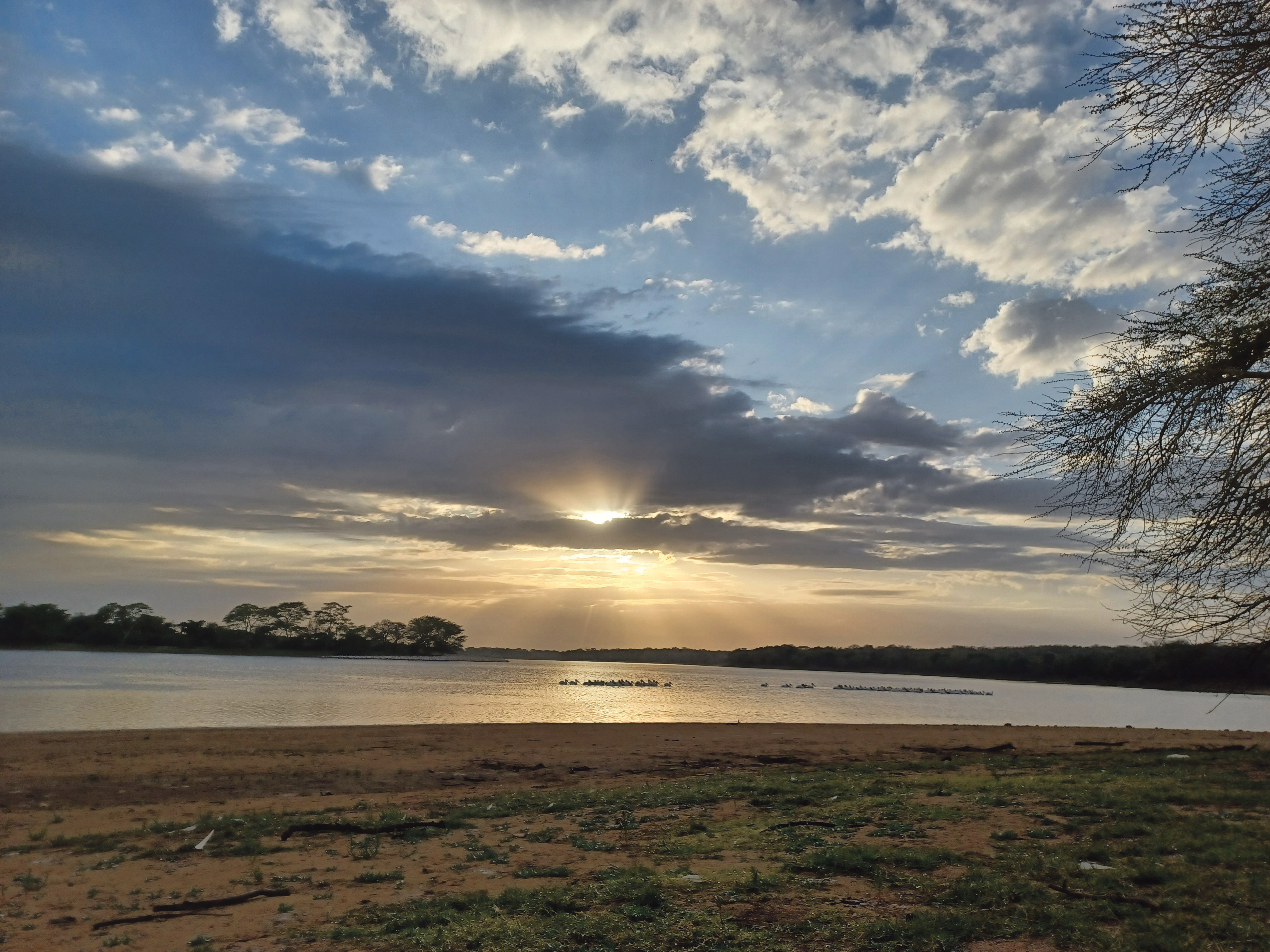 Battle is on to save KZN’s 100-year-old Ndumo Game Reserve from coal and oil shale drilling