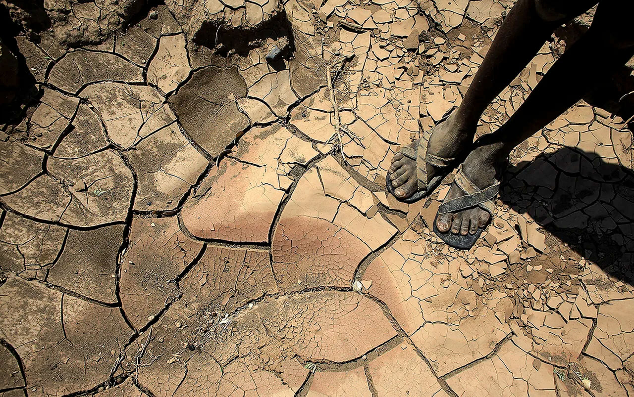 This week — climate change and migration discussion, annual David Sanders Lecture, and a documentary on the Cape Town housing crisis