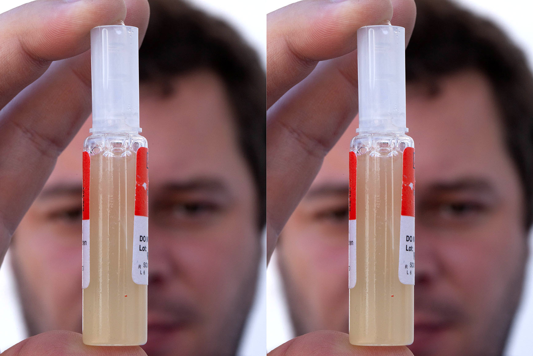 Snake antivenom shortages — why this struggle happens in SA