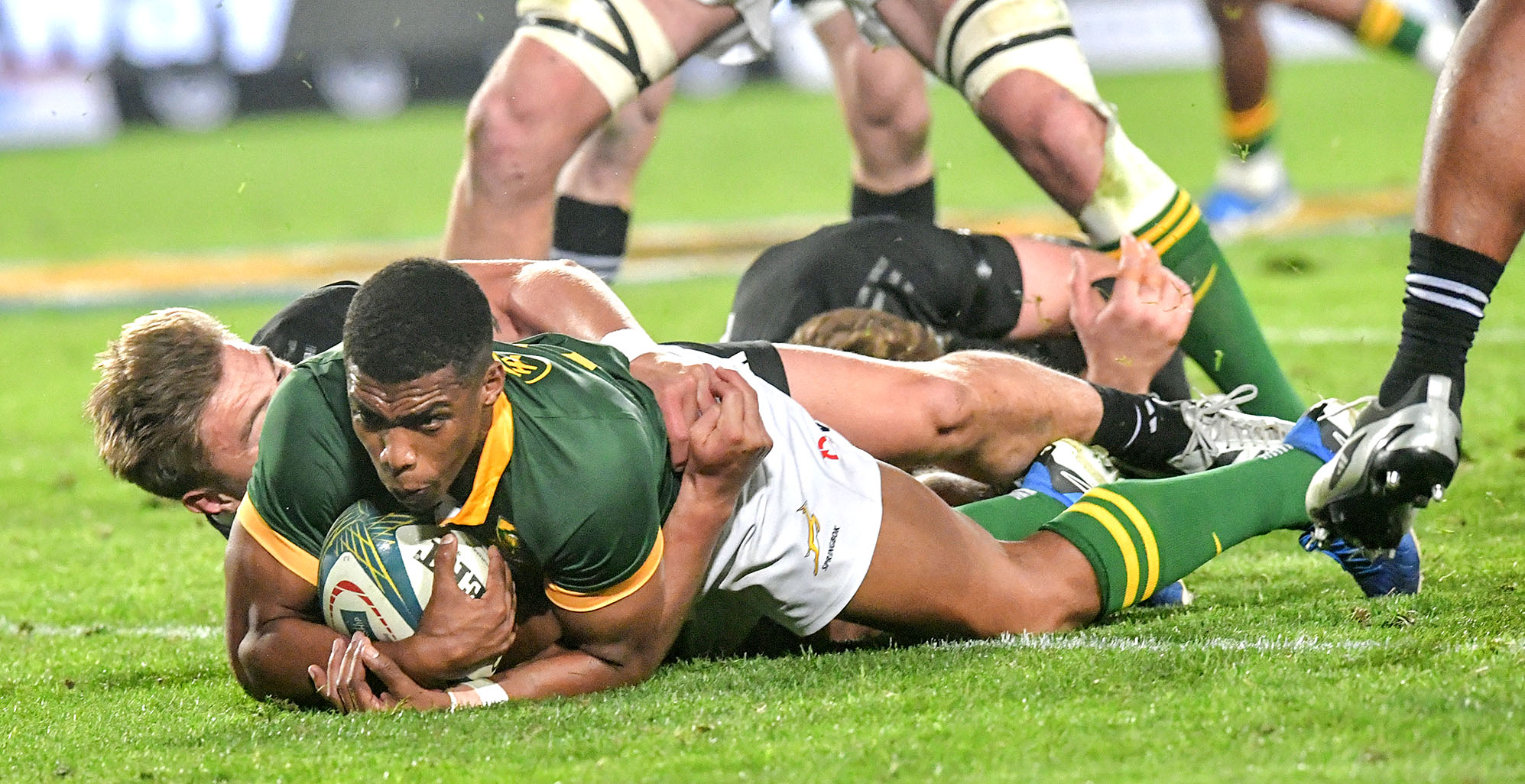 It's a go — Springboks and All Blacks to resume full tours in 2026