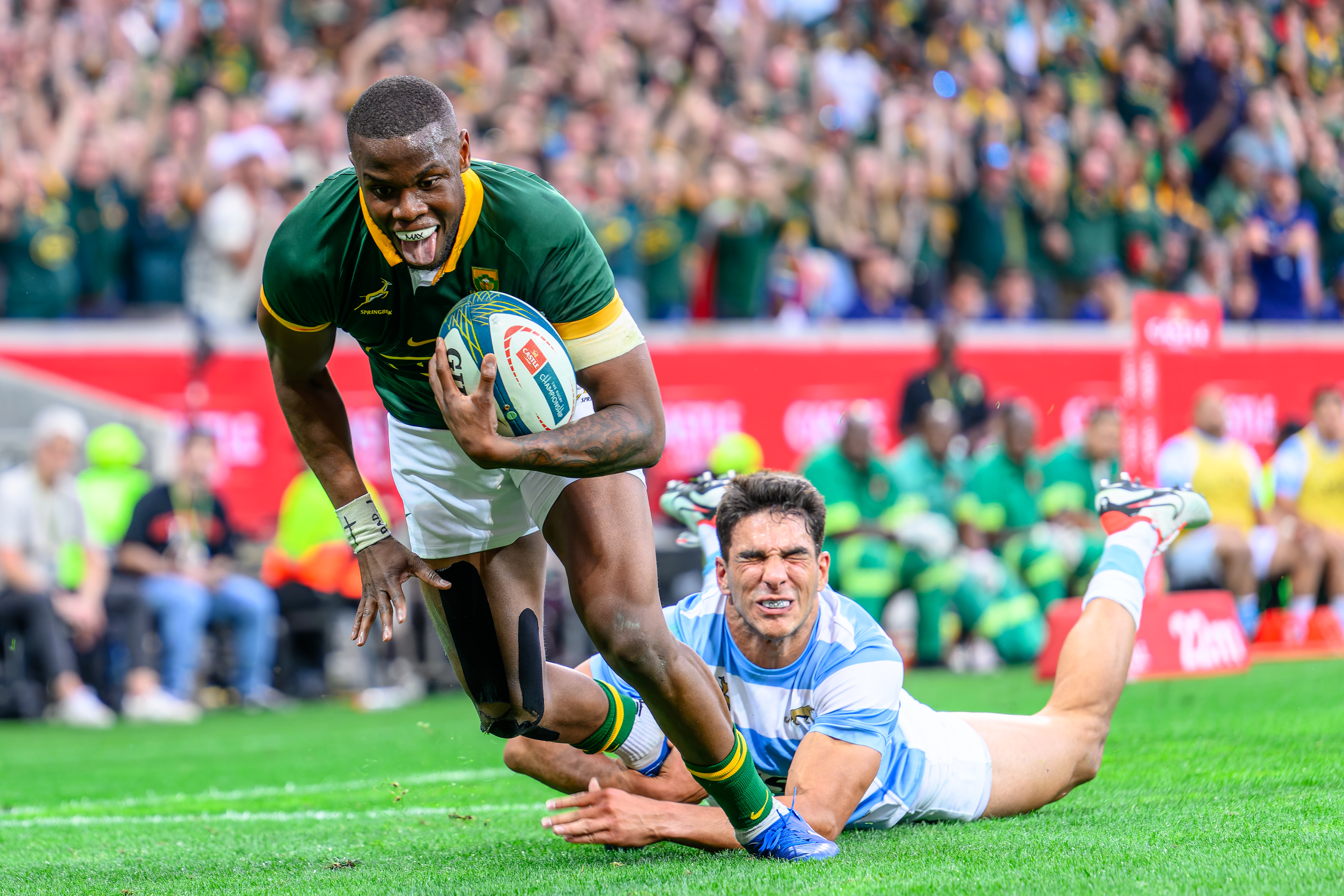 Best of the Boks in 2024 — bomb squad heroics, Cheslin’s genius and other great moments