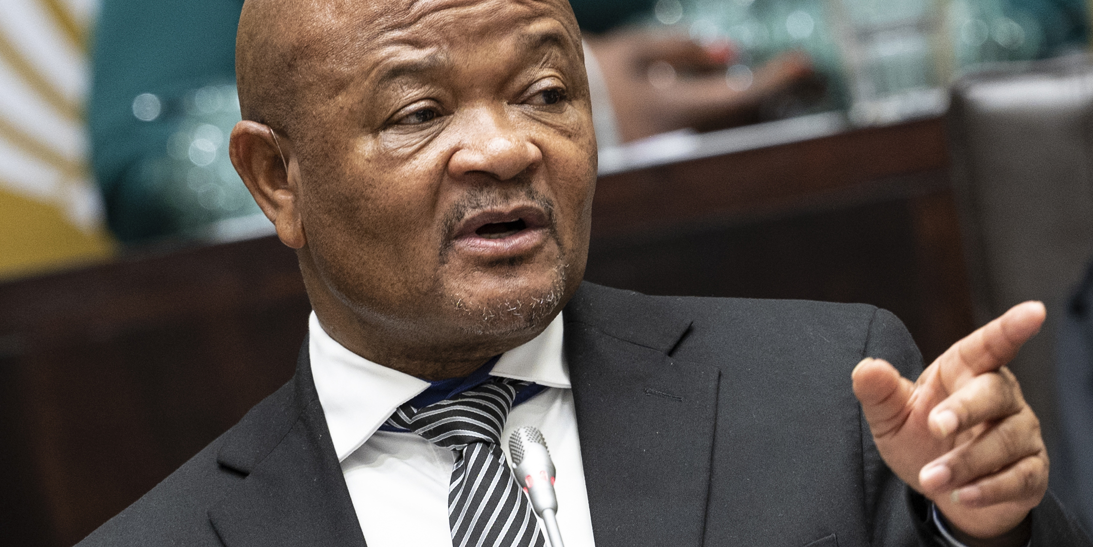 Police Minister Senzo Mchunu declares war against ‘armies of murderous parasites’