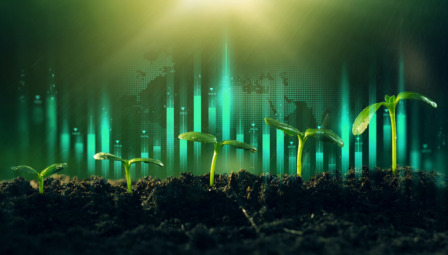 Agribusiness Confidence Index recovers in third quarter as businesses pin their hopes on GNU