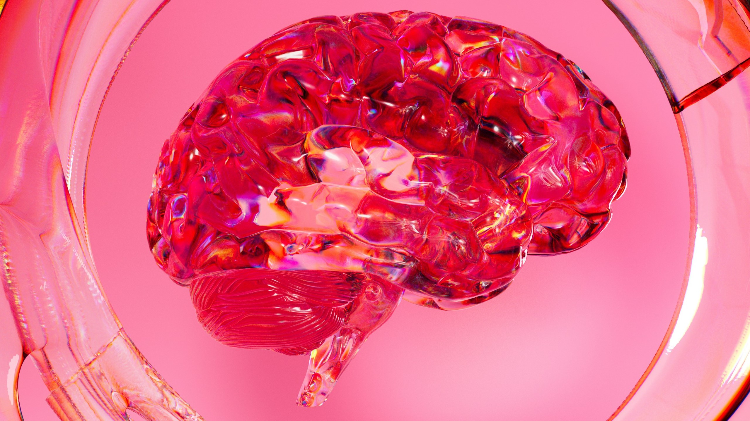 Microplastics are in our brains. How worried should you be?