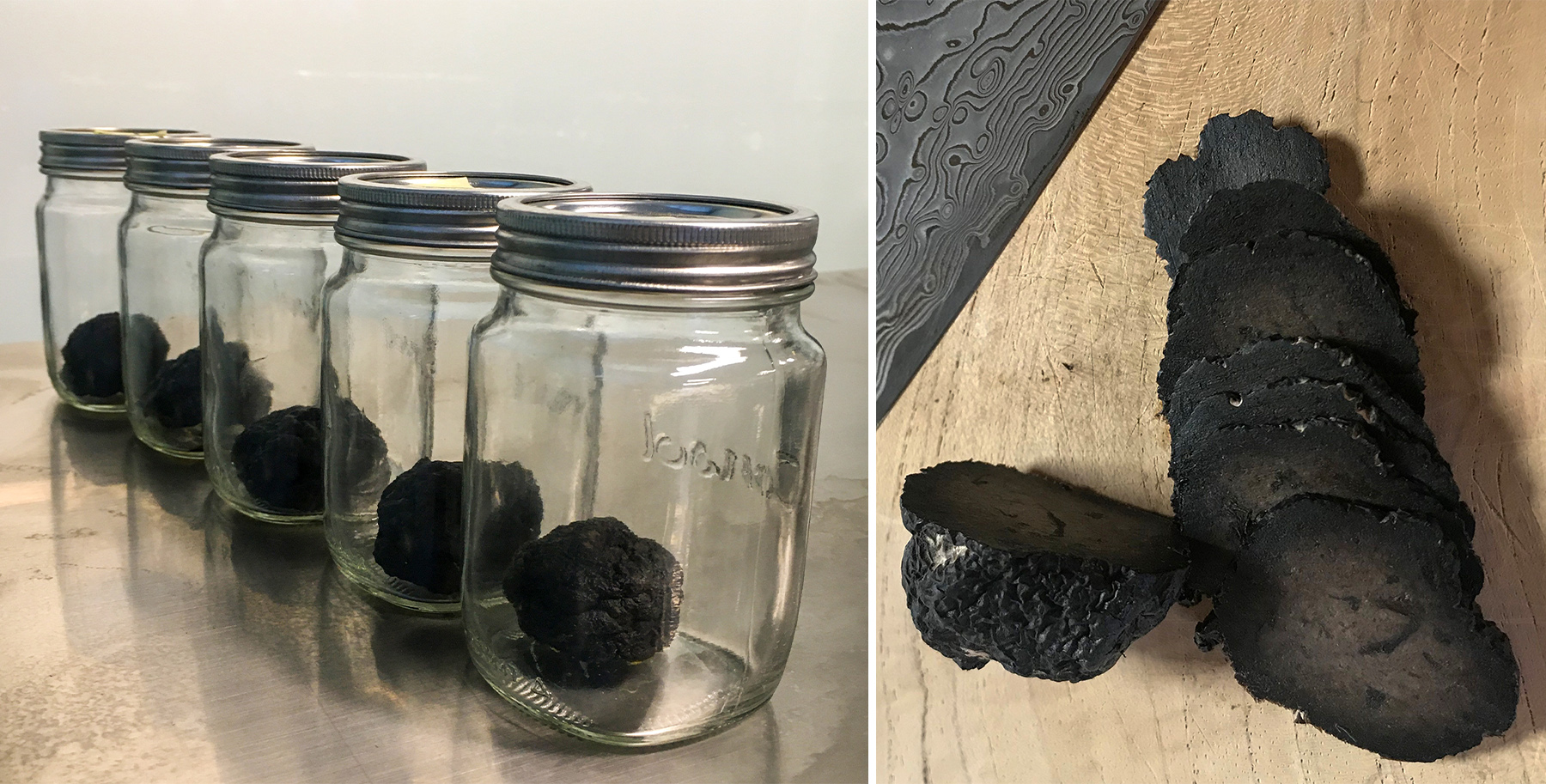 The moss chambers in Pretoria where truffles are grown by scientists