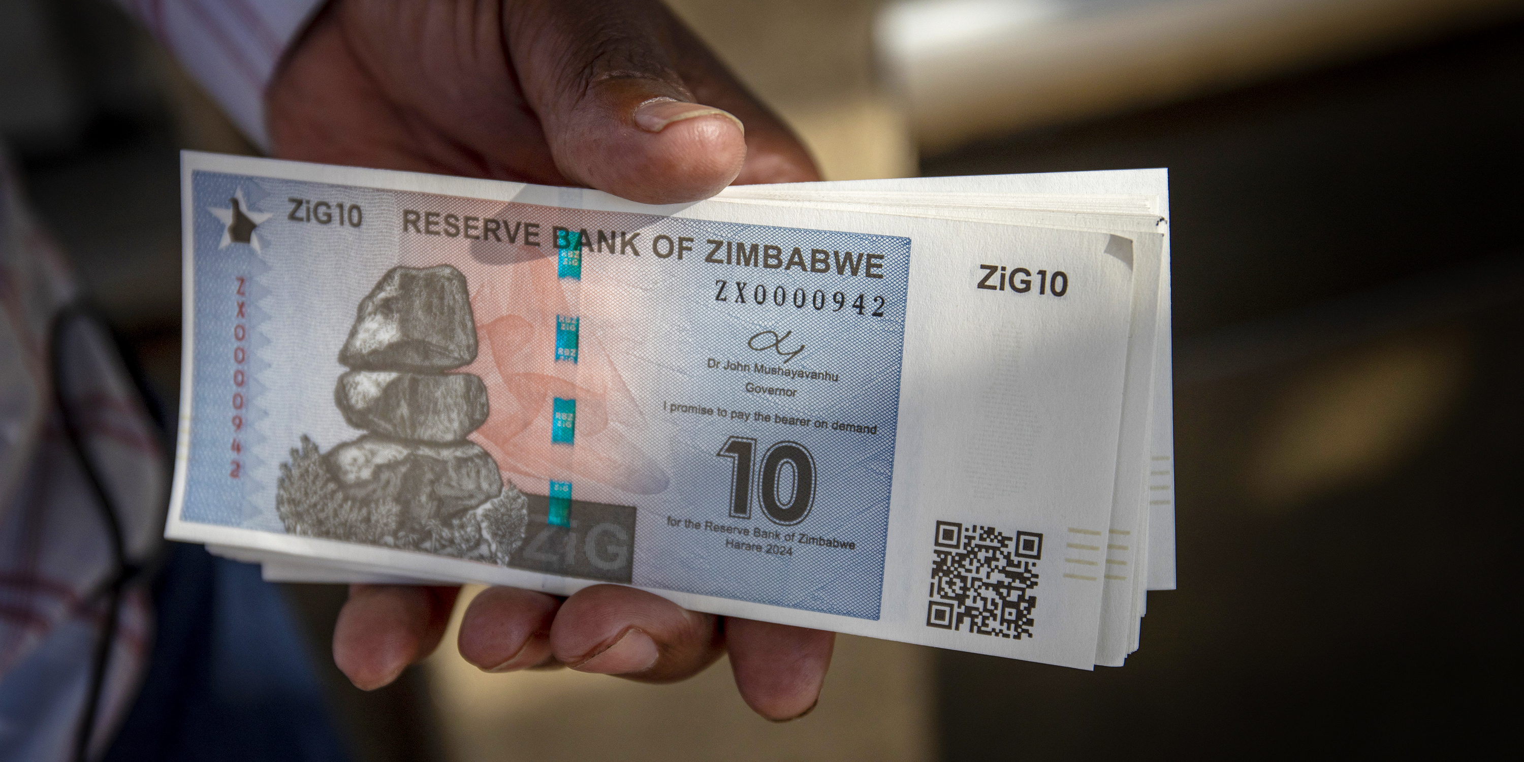 Loaded for Bear: The chronicle of a currency collapse foretold in Zimbabwe