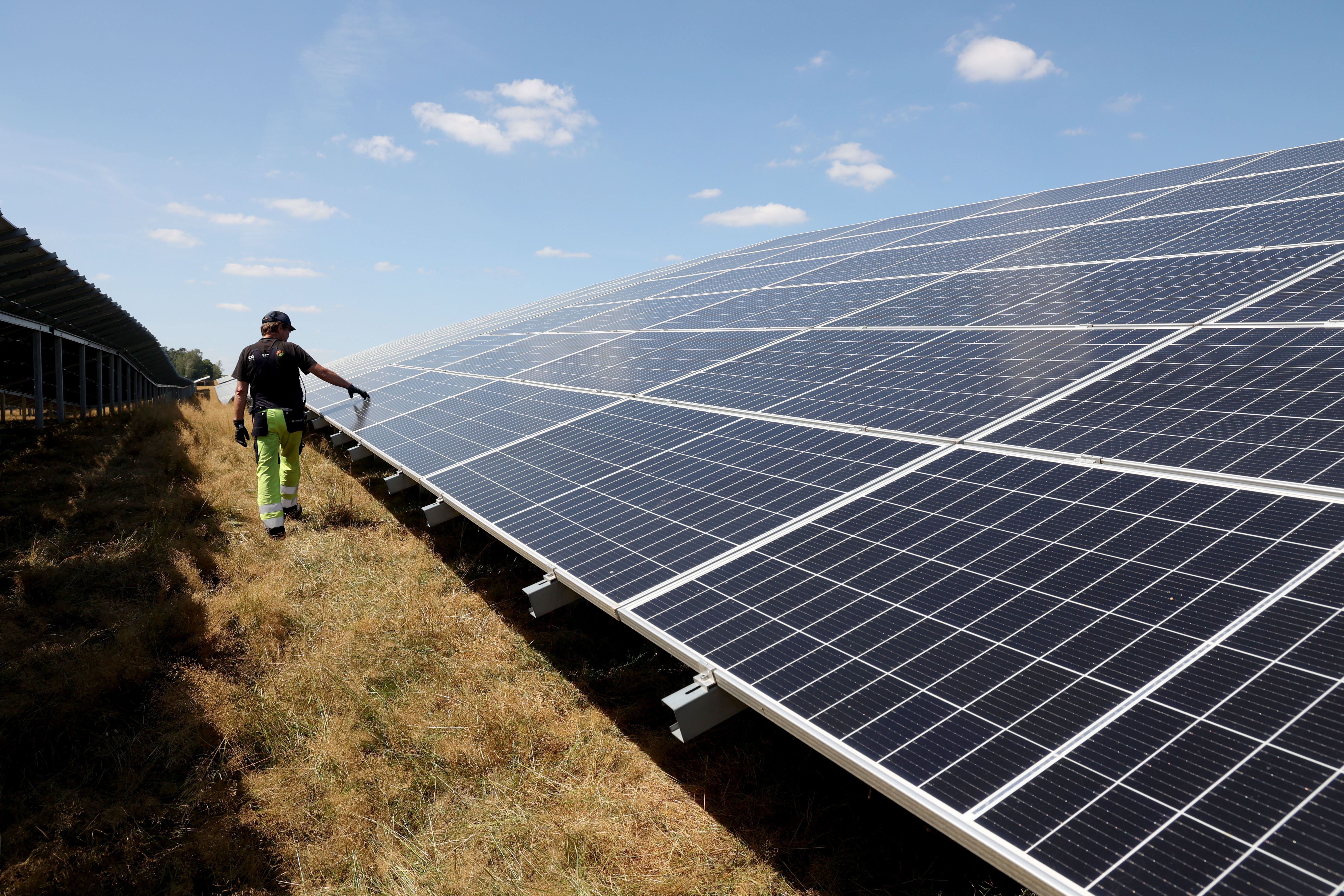 Crossed Wires: Solar energy in the age of Musk and Trump