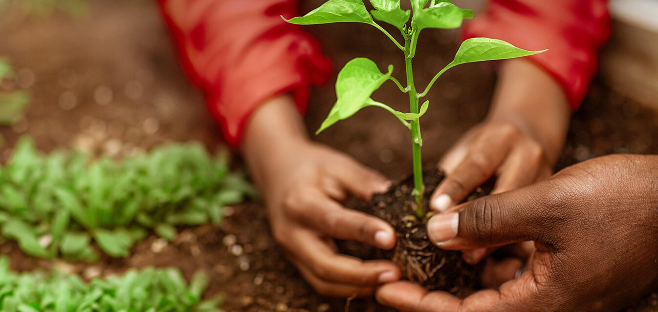 Private sector contributions to South Africa’s 2024 VNR: A collaborative journey for the SDGs