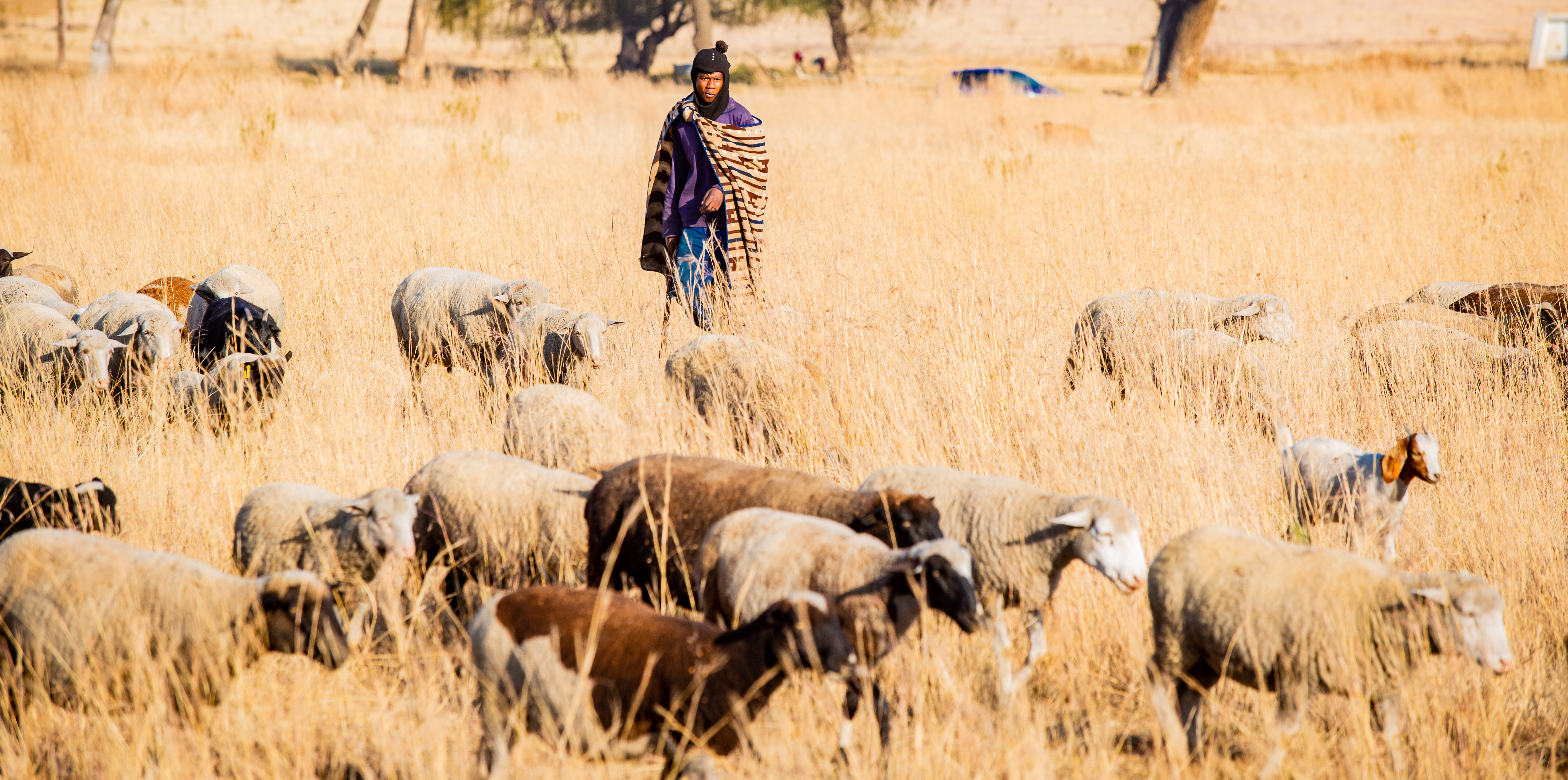 Smallholder farmers, the unsung heroes of agriculture, are helping to secure South Africa’s food future