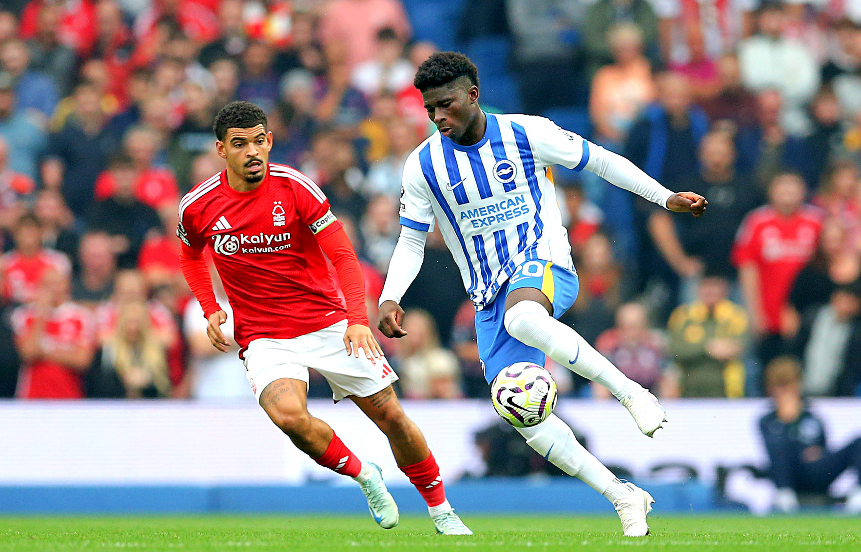 From axolotls to football — Brighton’s secret to continuous success in a competitive landscape