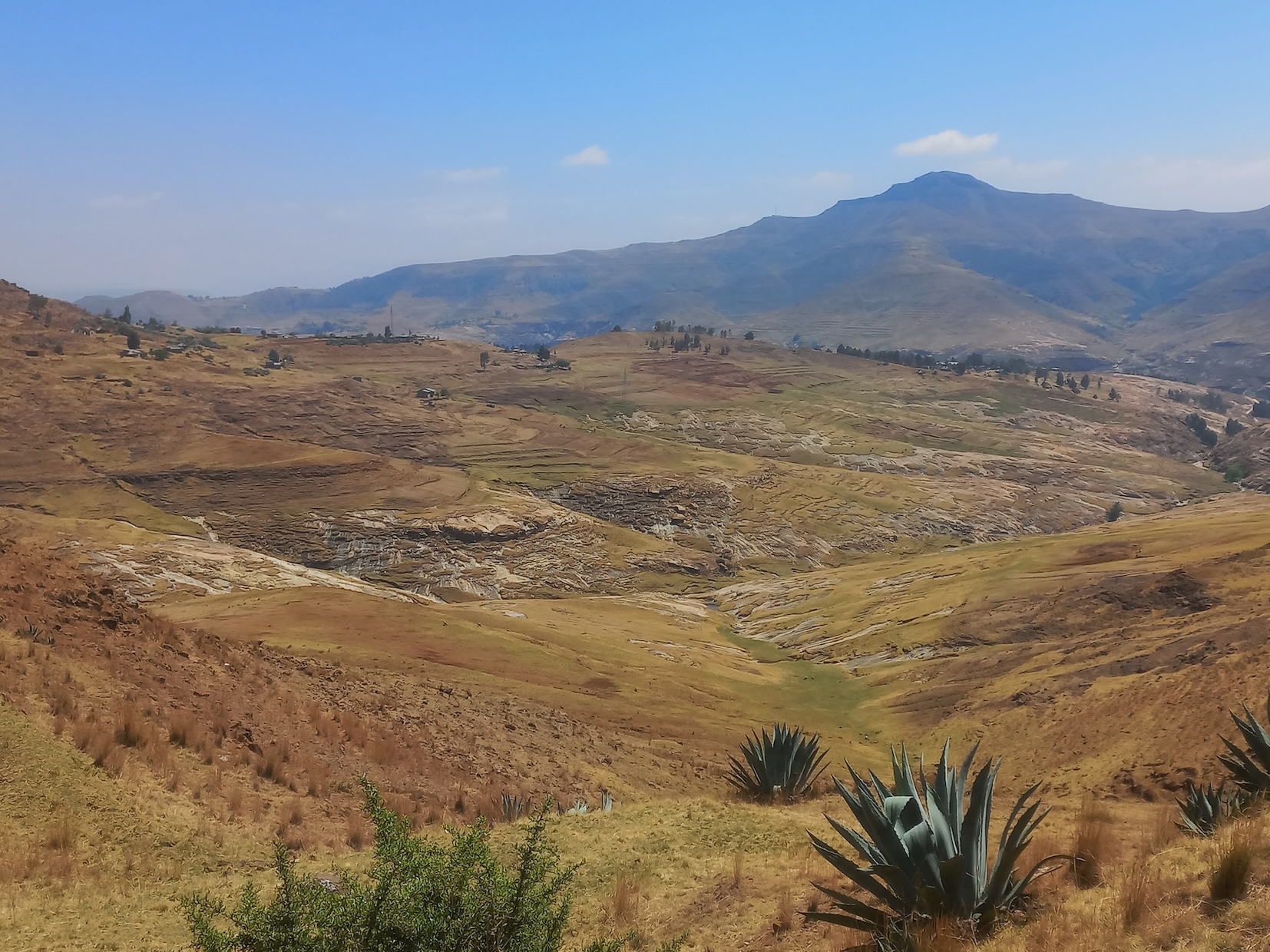 Crucial wetlands in the Lesotho Highlands are in trouble, and this threatens Joburg’s water security