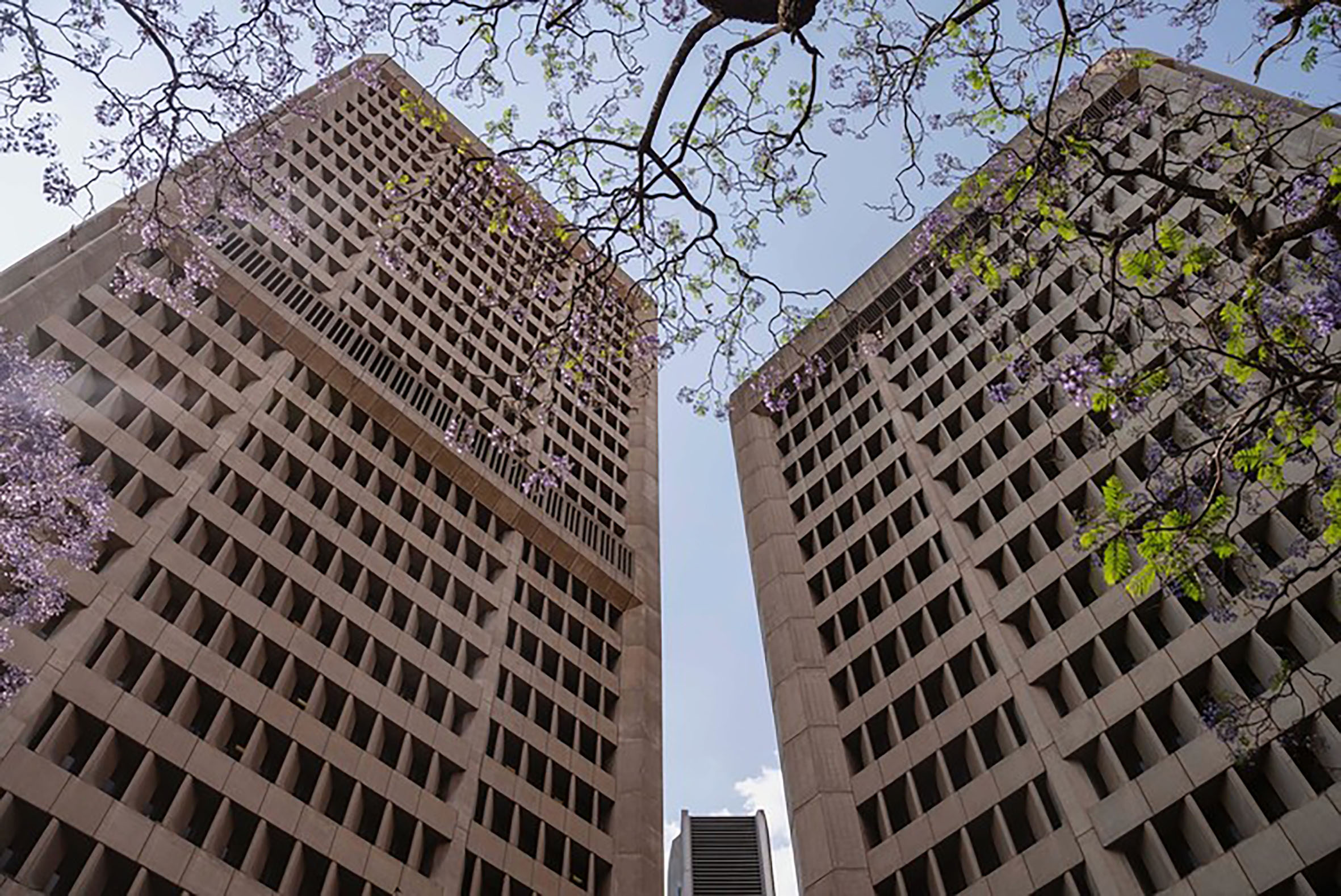 MPs condemn government’s ‘headless chicken approach’ to shoddy R1bn national police HQ