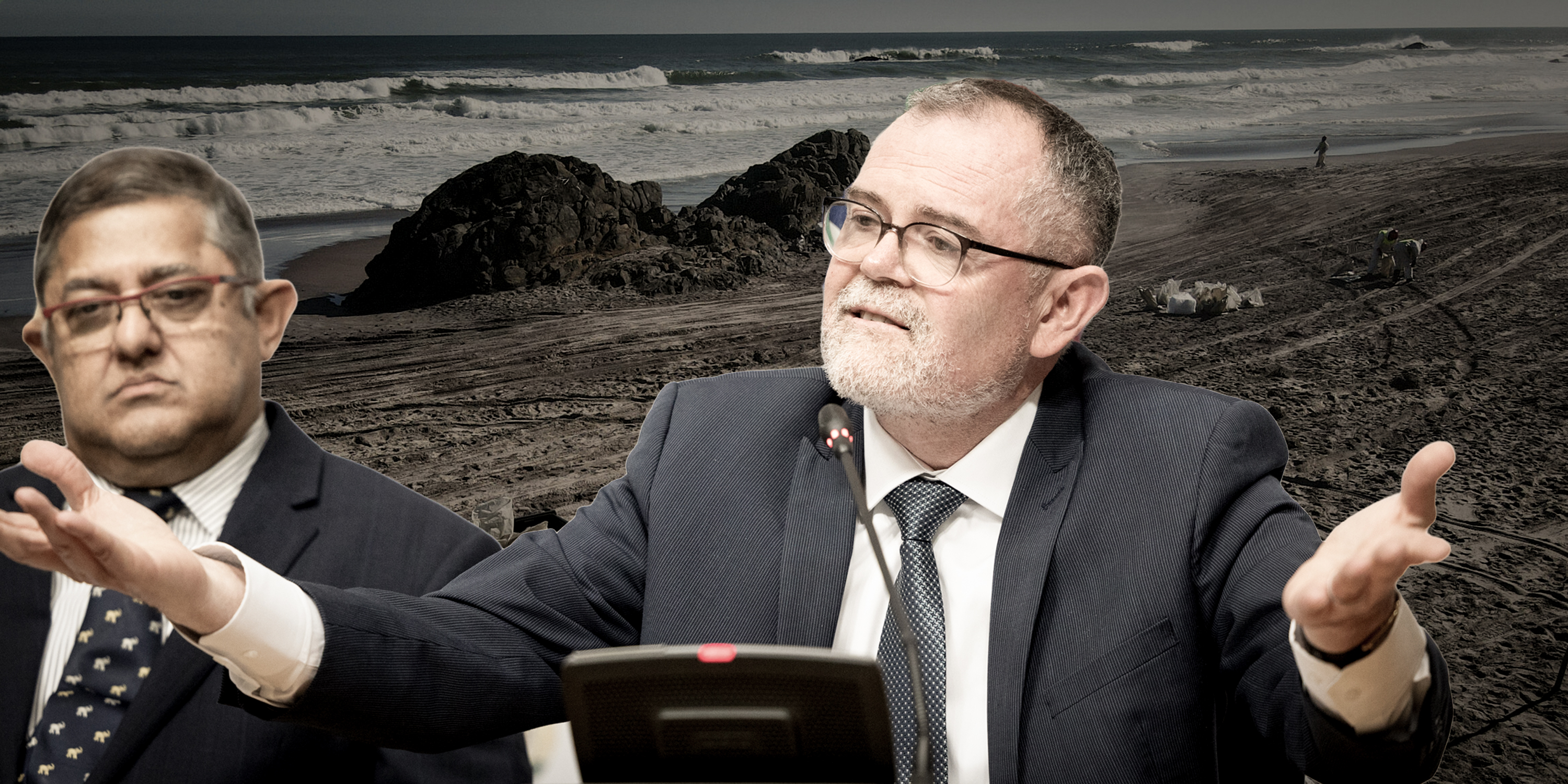 Dion George wants to review Environmental Impact Assessment red tape but keep conservation safeguards