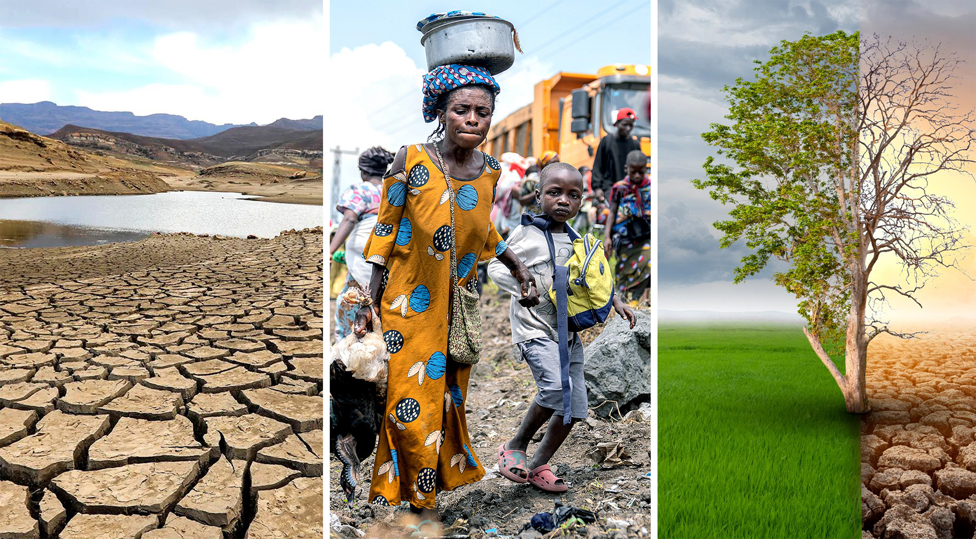 Water, food and conflict — new report warns of climate’s amplifying impact in Africa
