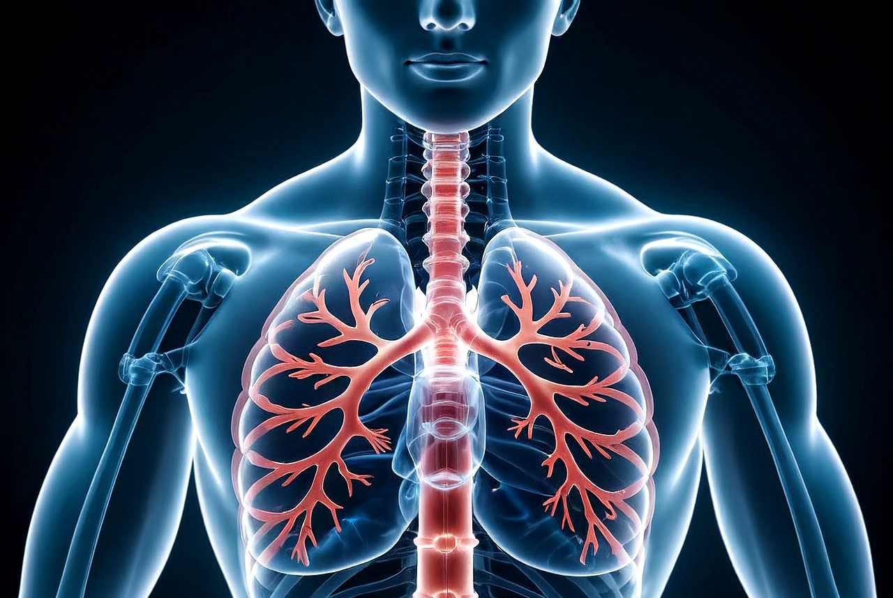 South Africa's TB crisis: progress and challenges highlighted in latest WHO report