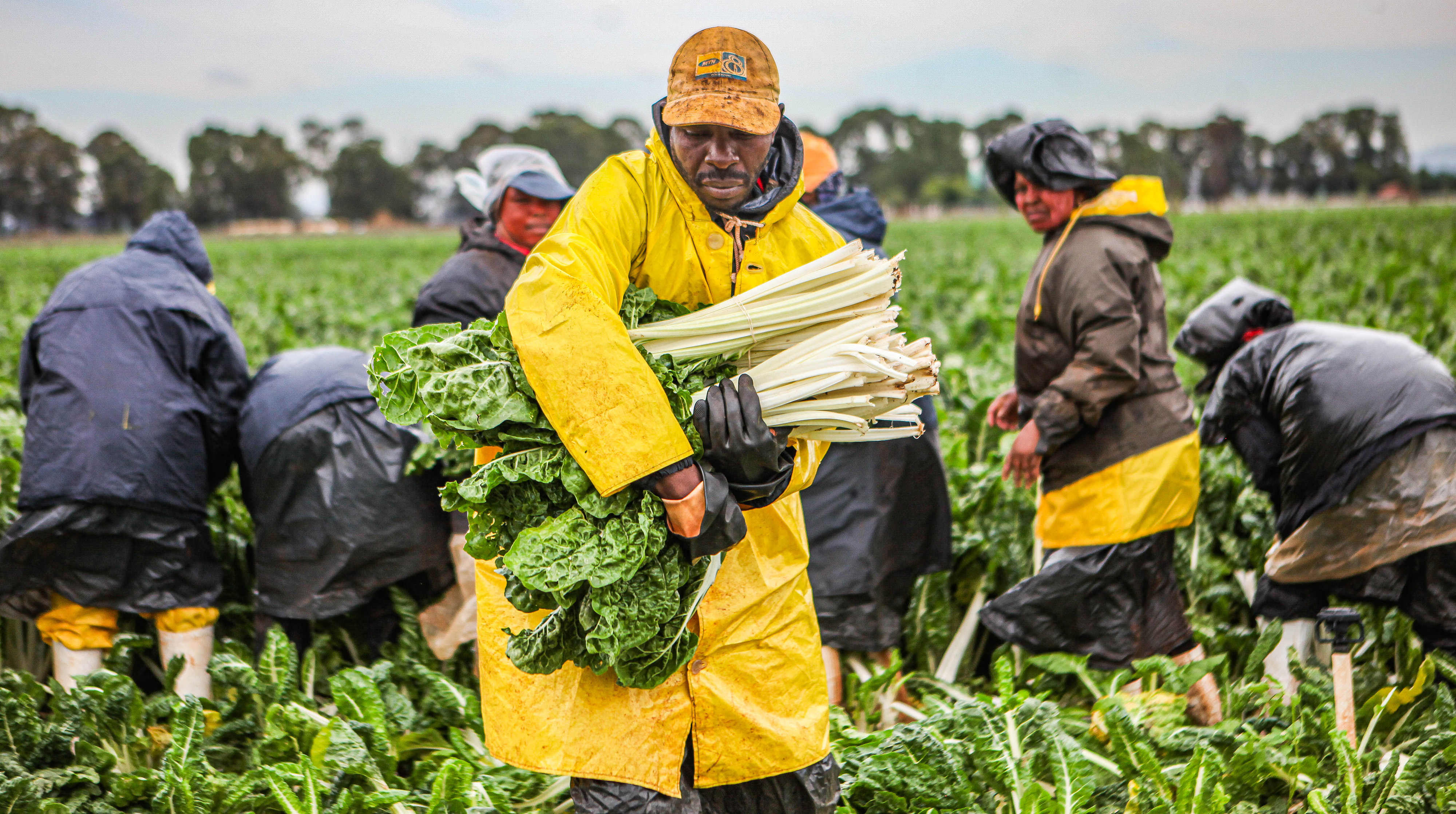 This week — unpacking pathways to zero hunger and food security, and observation of International Day for the Eradication of Poverty