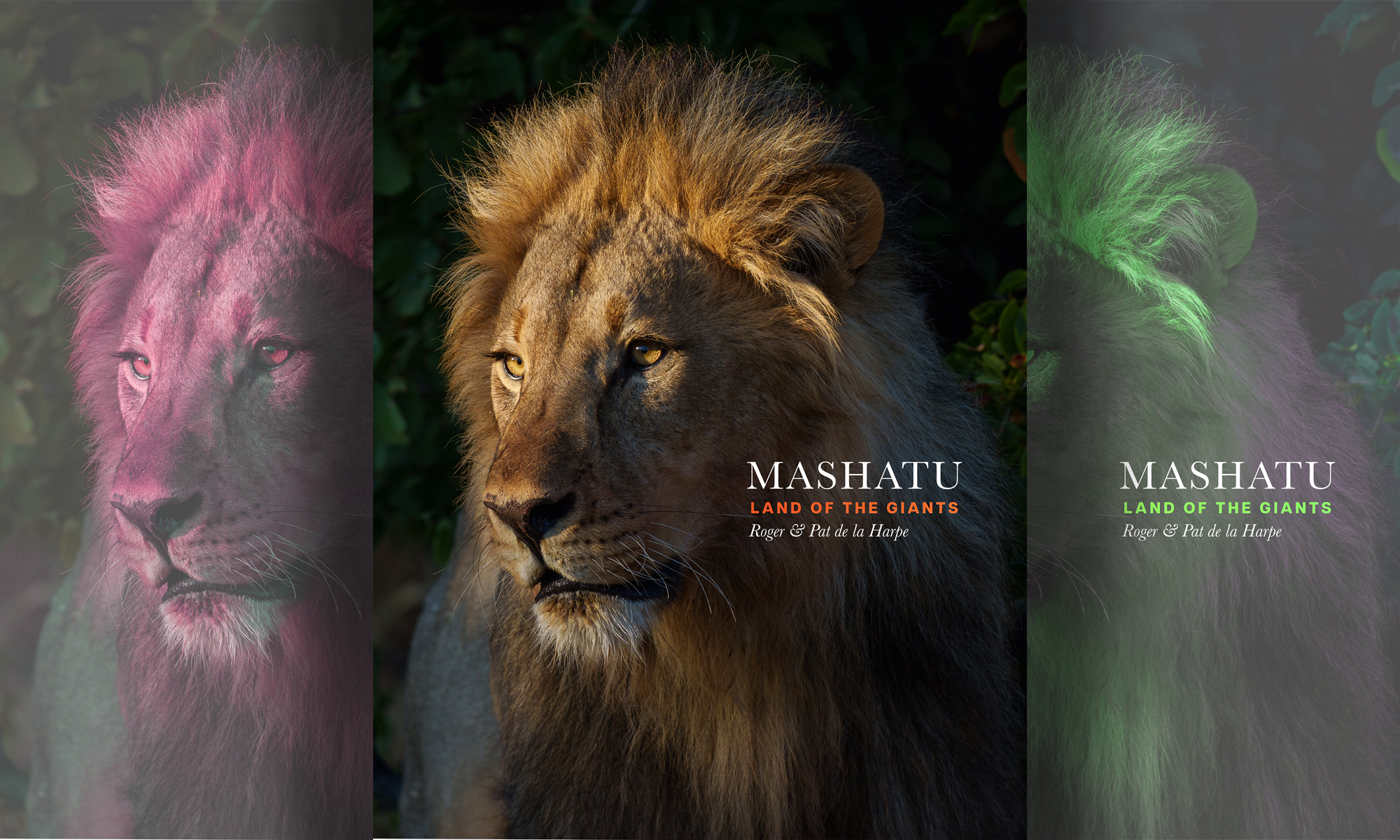 Mashatu: Land of the Giants – A visual tribute to Botswana’s beauty