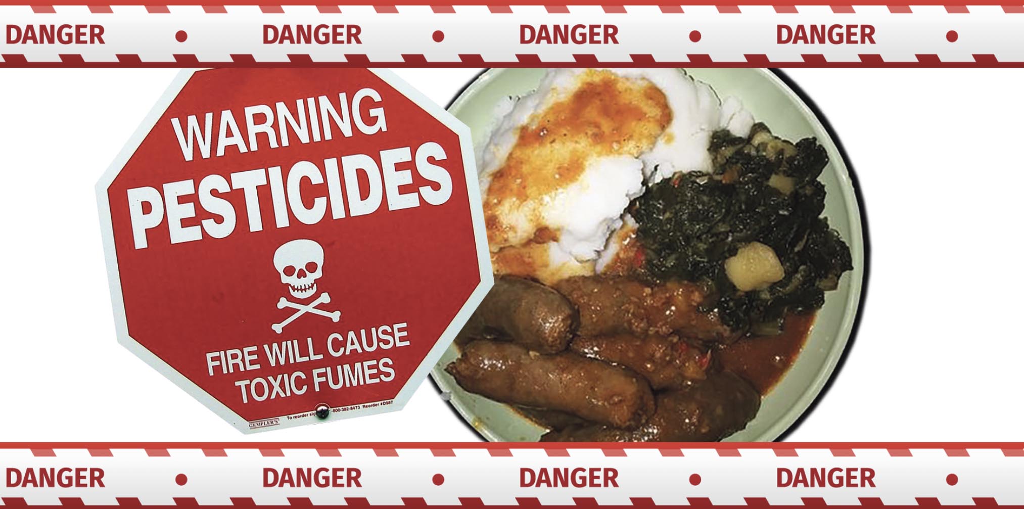 Race against time to find banned insecticides possibly linked to food poisoning deaths of 11 Soweto children