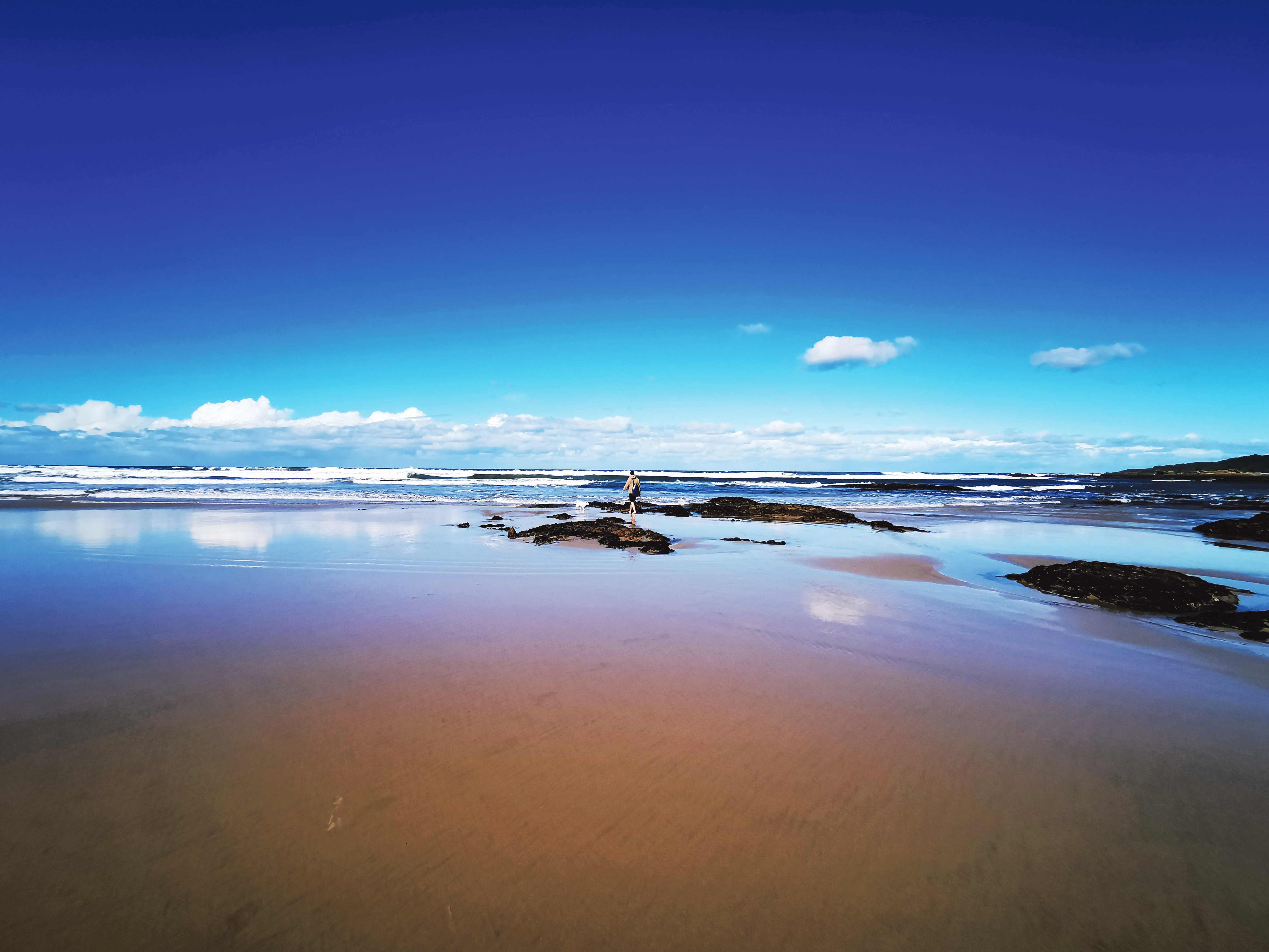 Residents, police and security firm win war against violent gang that terrorised the  Wild Coast