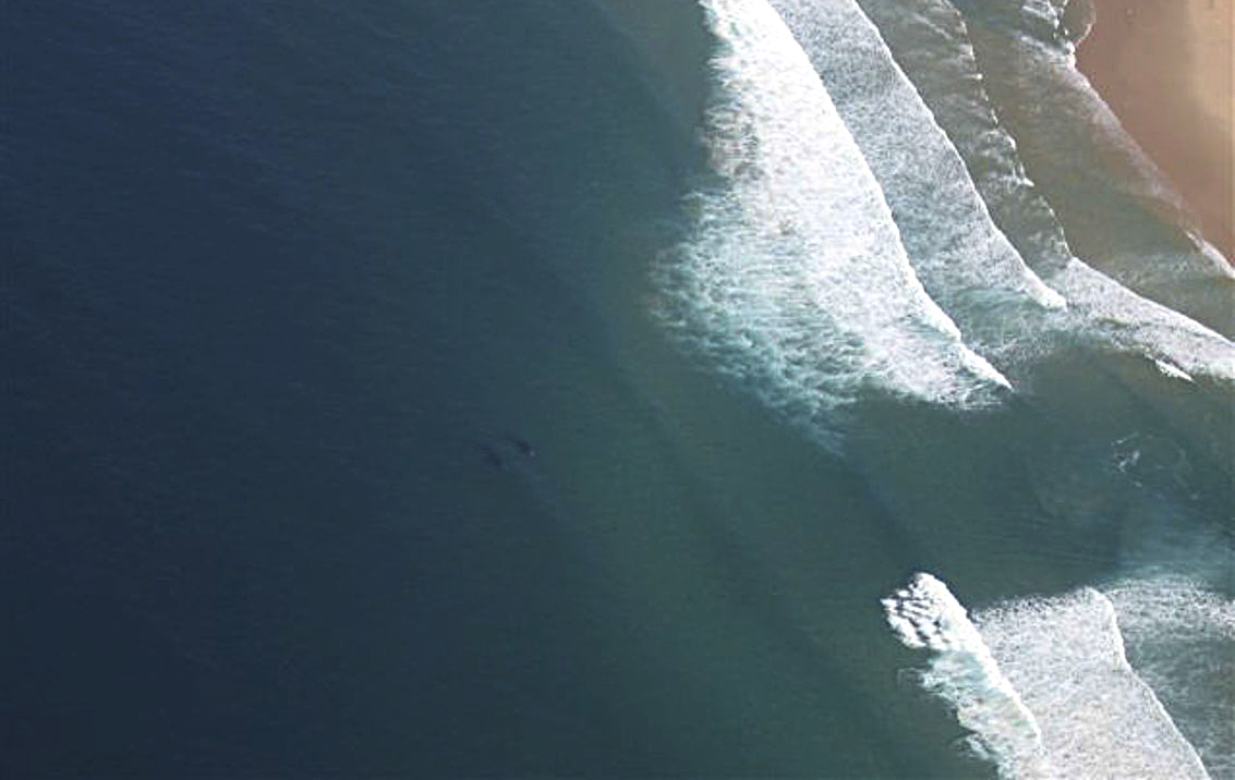 Coming to six Cape beaches — rip current forecasts to enhance safety
