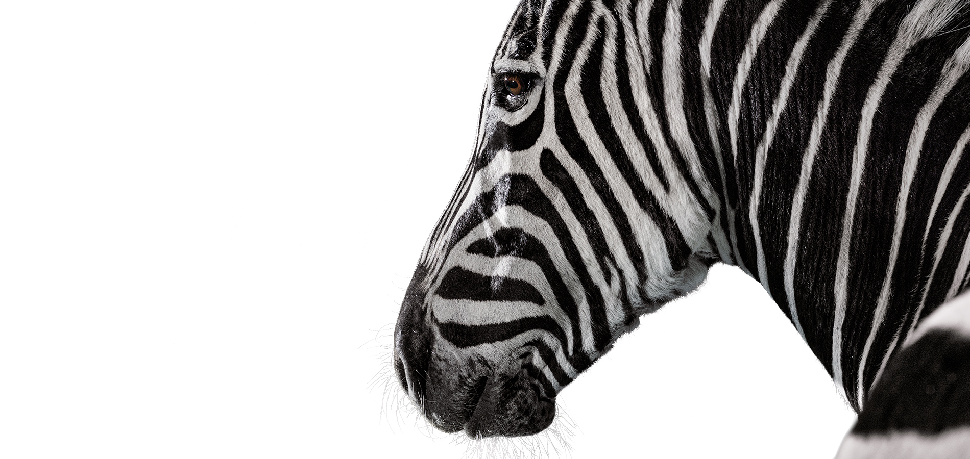 Celebrating 12 years of excellence: Investec builds enduring worth.