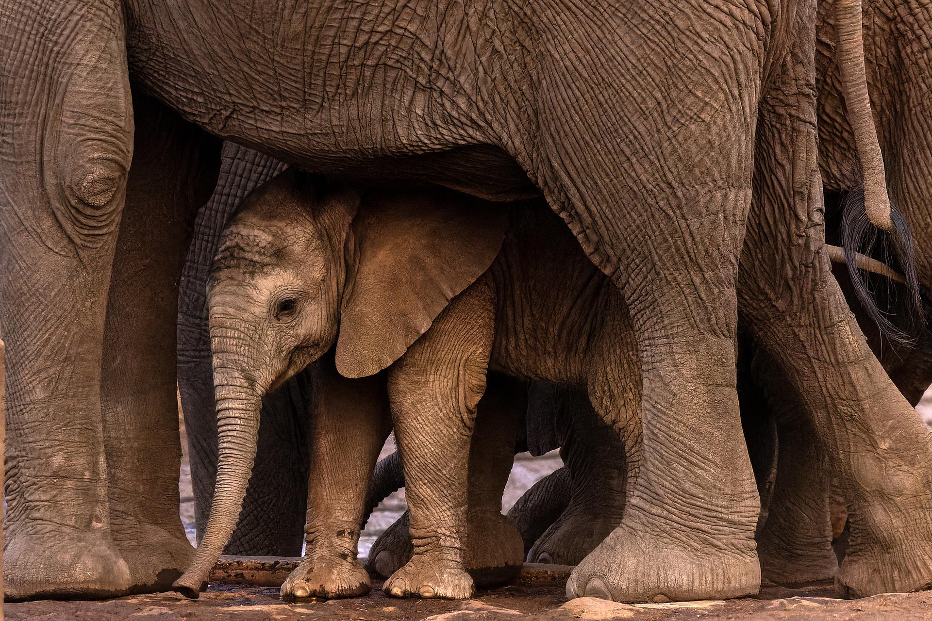 P4U_readersubmission_20241115