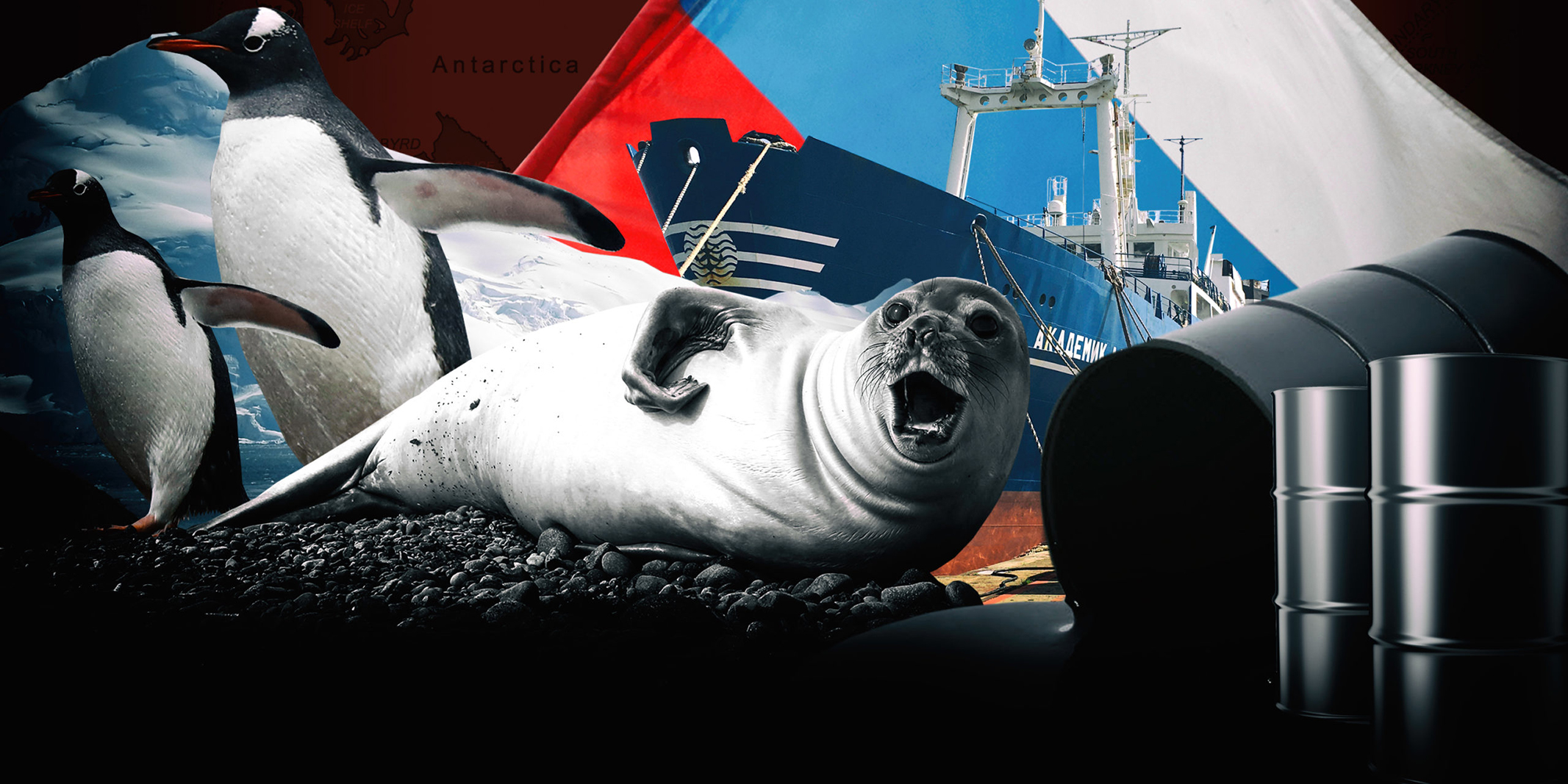Daily Maverick revelations on Russia’s Antarctic oil-and-gas hunt spark global attention