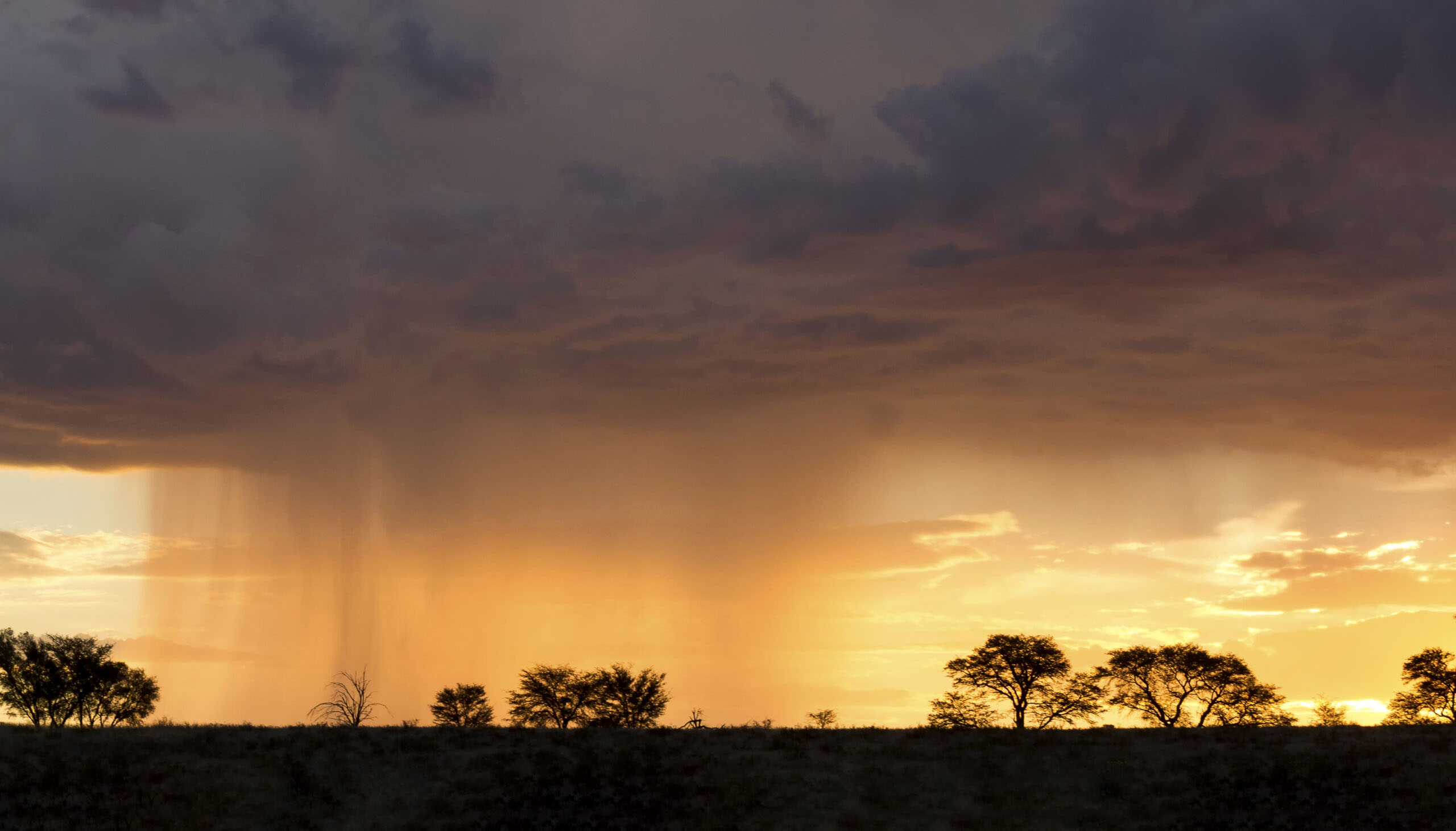 Northeast SA set for a drenching, warmer-than-normal across most of SA to June