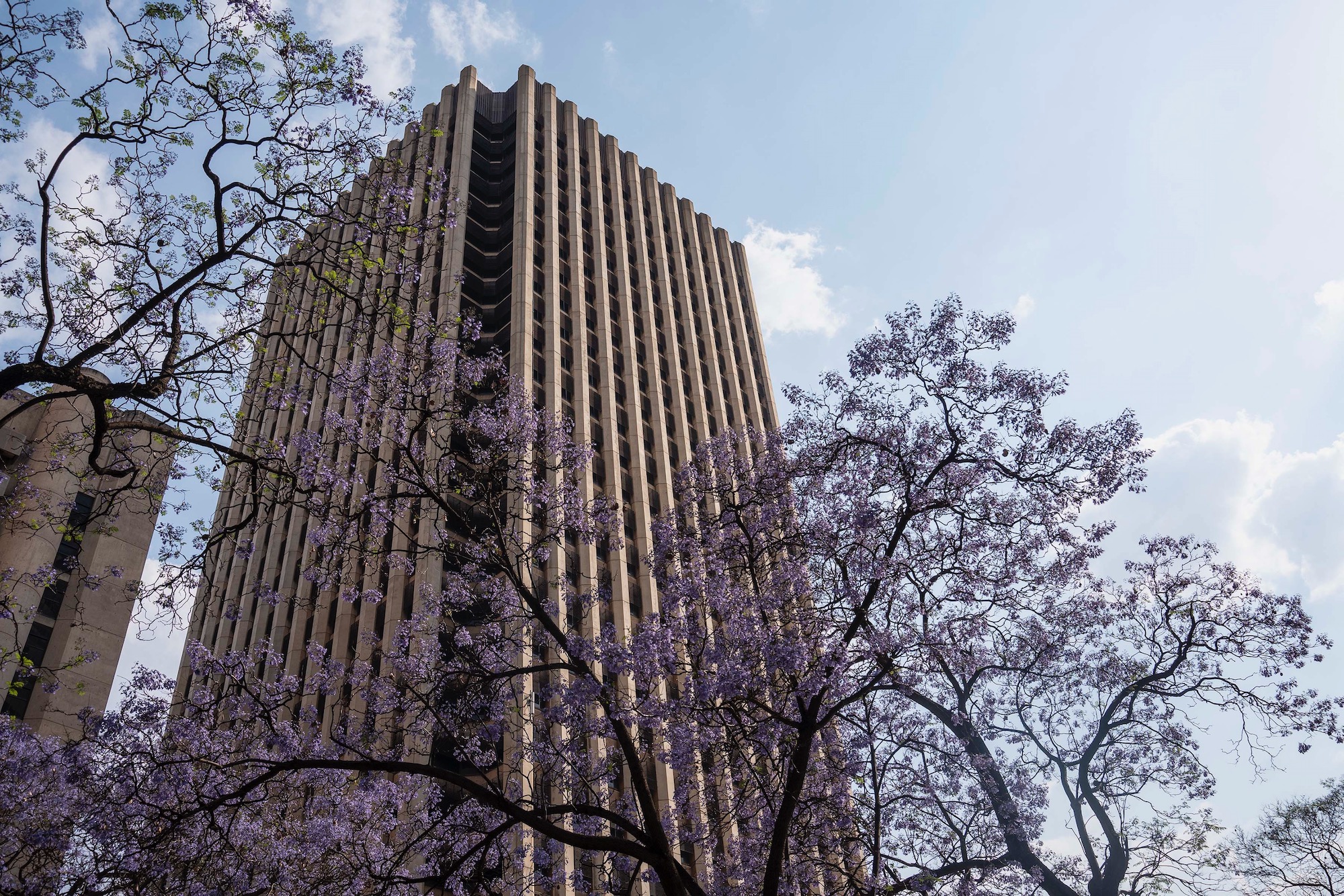 Dean Macpherson - Telkom Towers police HQ a 'monument to inefficient management', with 80% of projects delayed