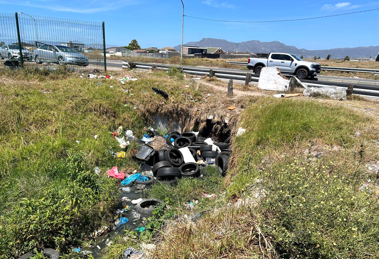 Cape Town nature reserve under siege as algal toxins and sewage pollution threaten biodiversity