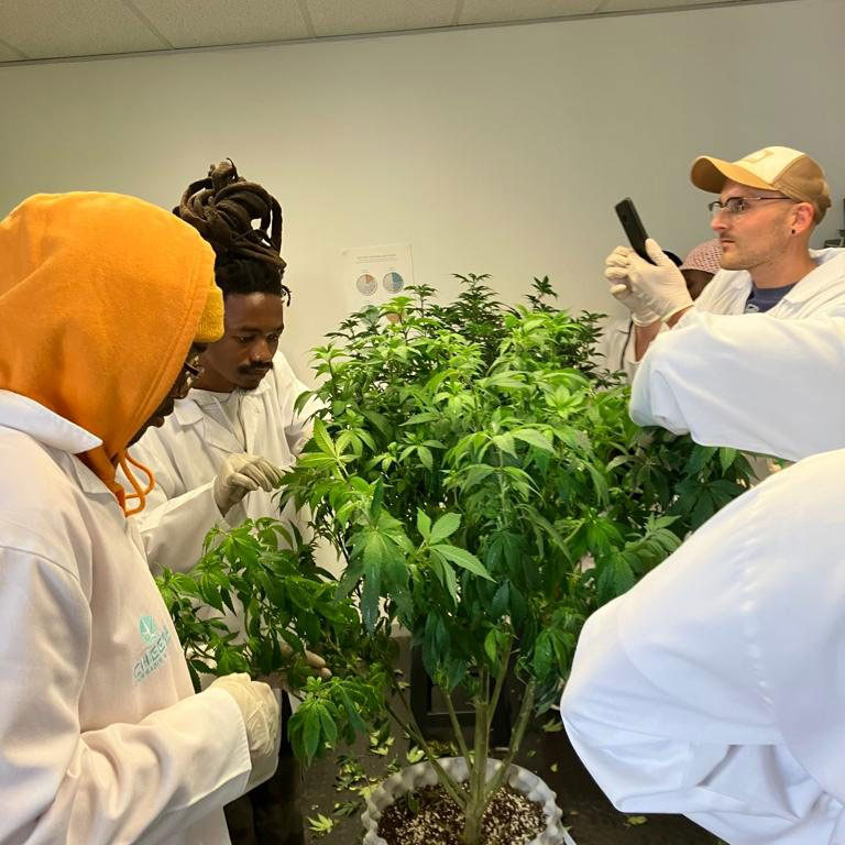 A sweet and green future — beekeeping and cannabis education set to up upskill students