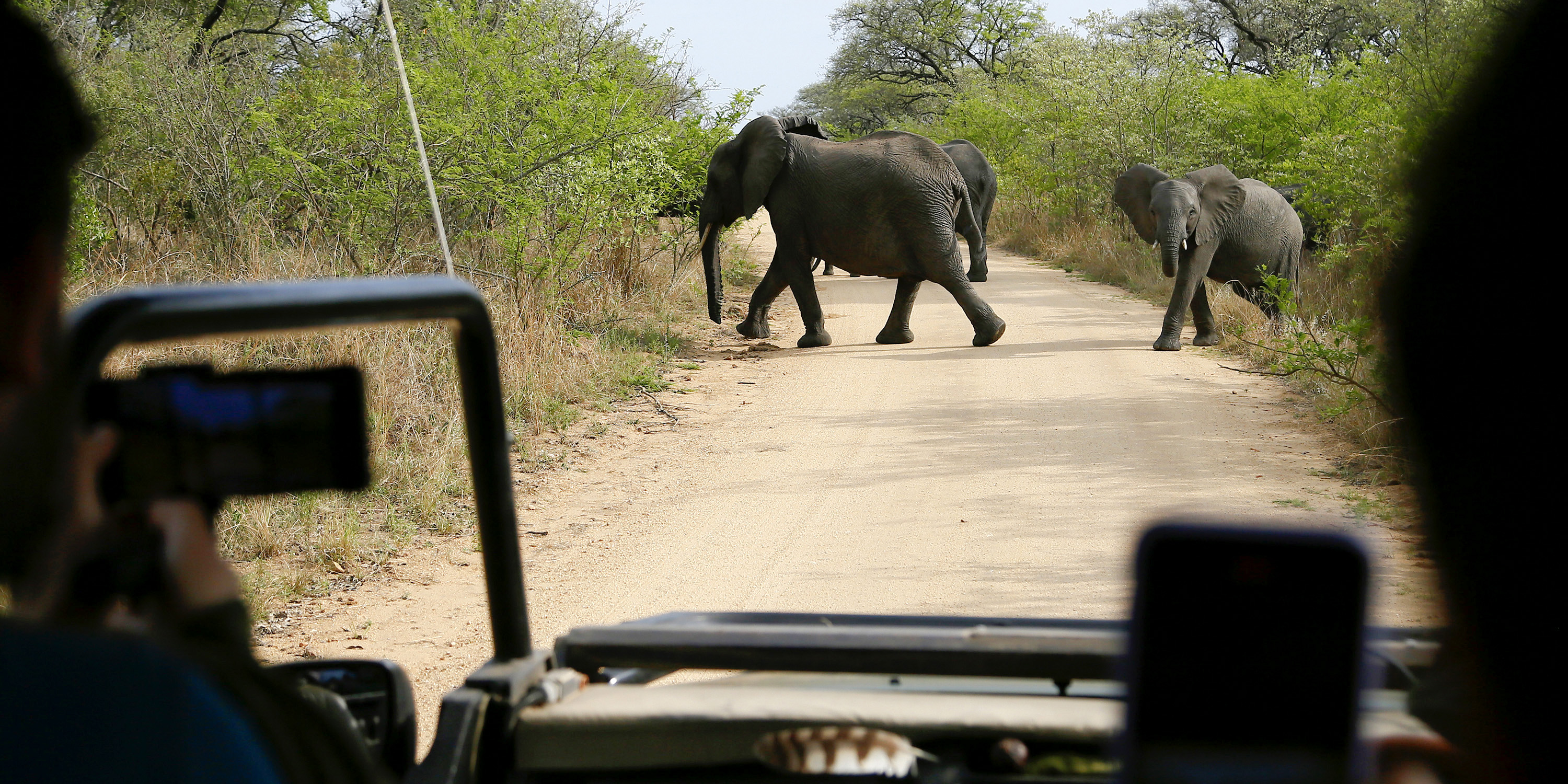 From Kruger to Golden Gate: essential safety tips for enjoying South Africa's wild wonders