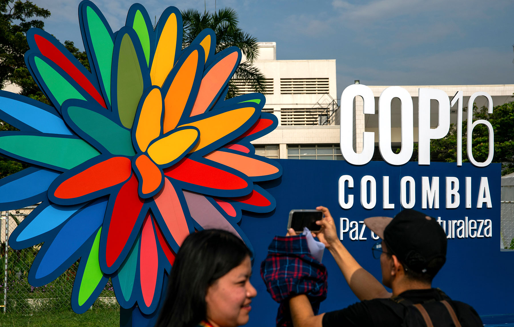 COP16 report card — global leaders make some biodiversity strides, but major challenges remain