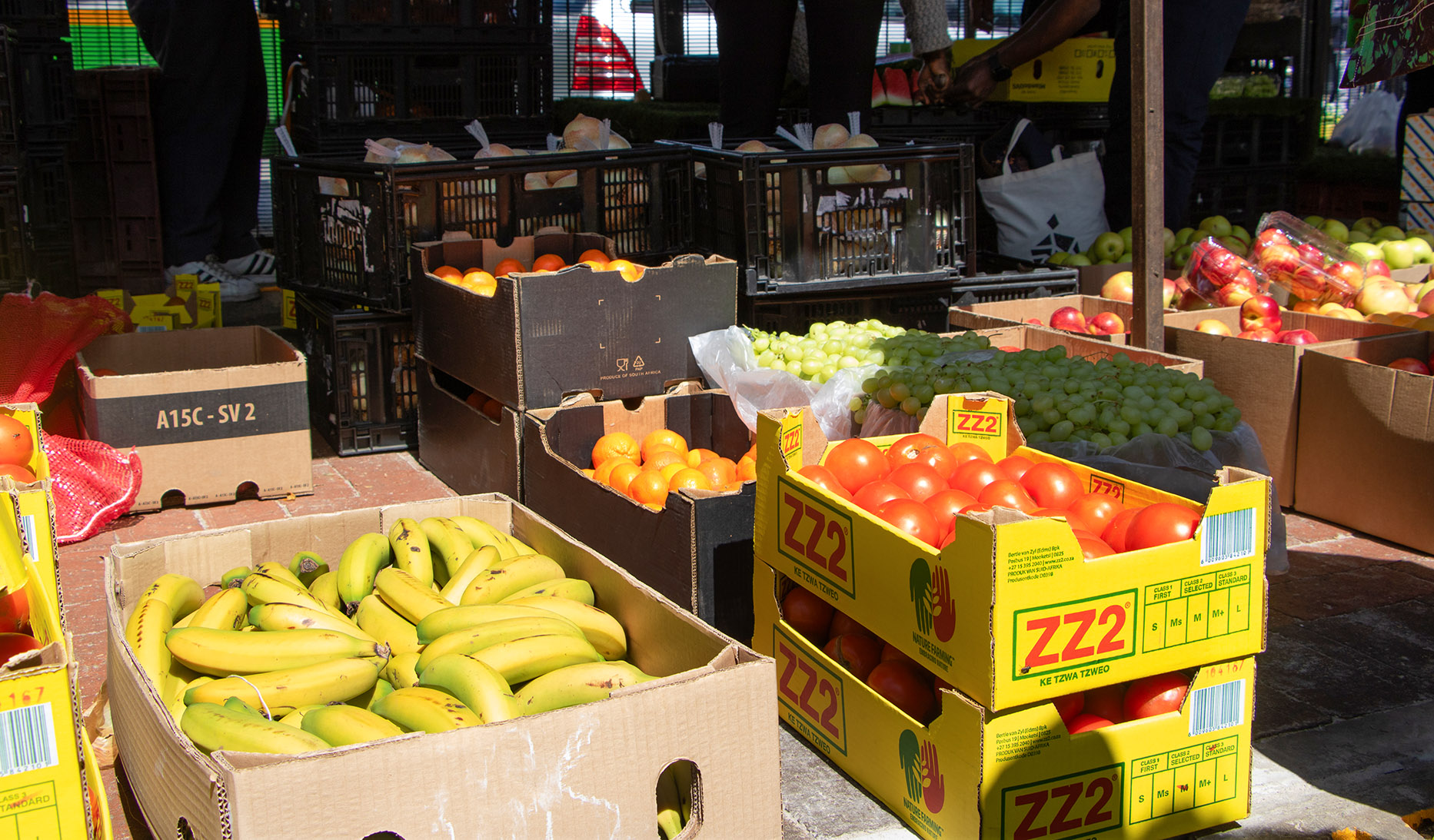 Cities ‘play crucial role’ in transforming ‘increasingly relevant’ urban food systems’, say experts