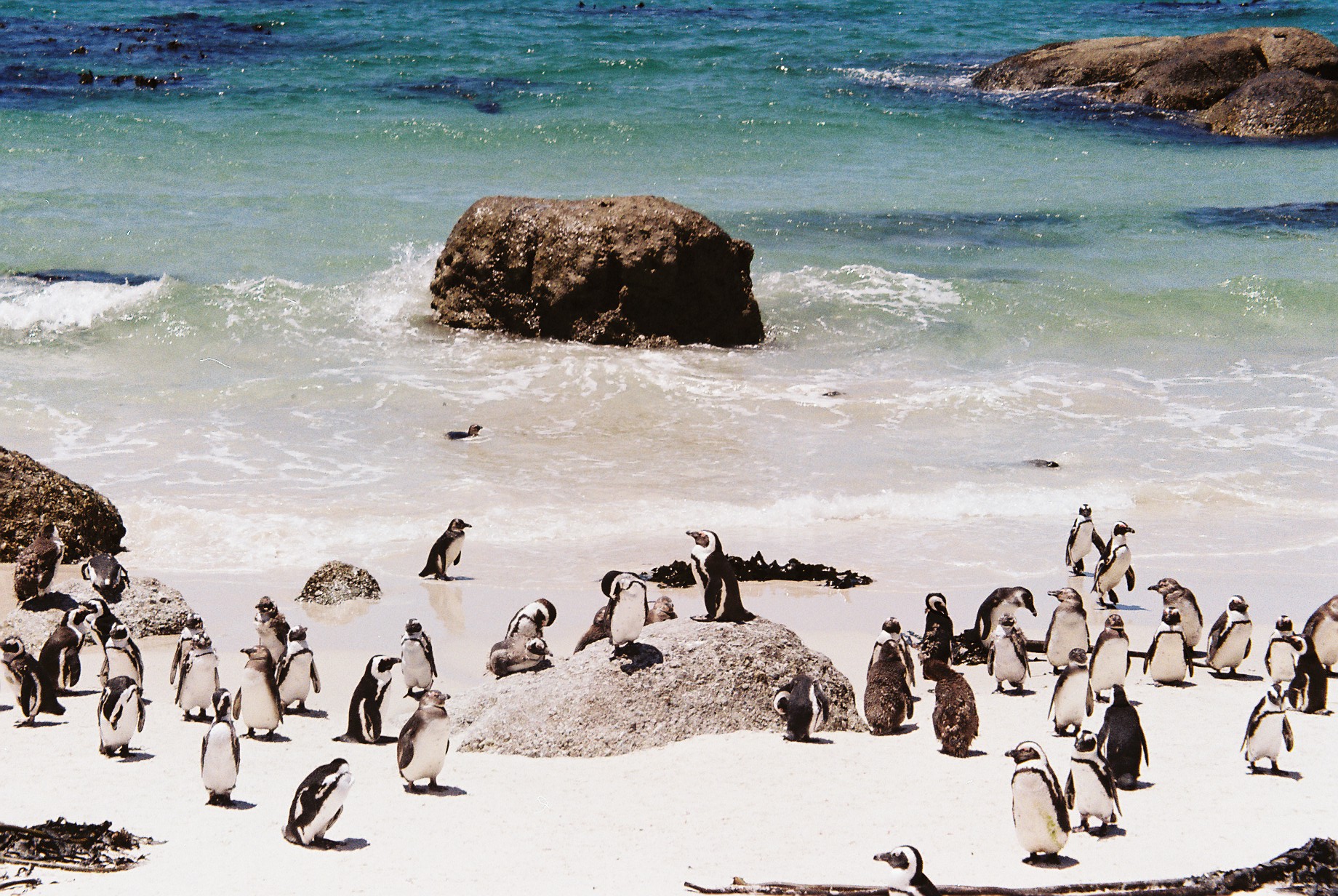 P4U_readersubmission_20241220