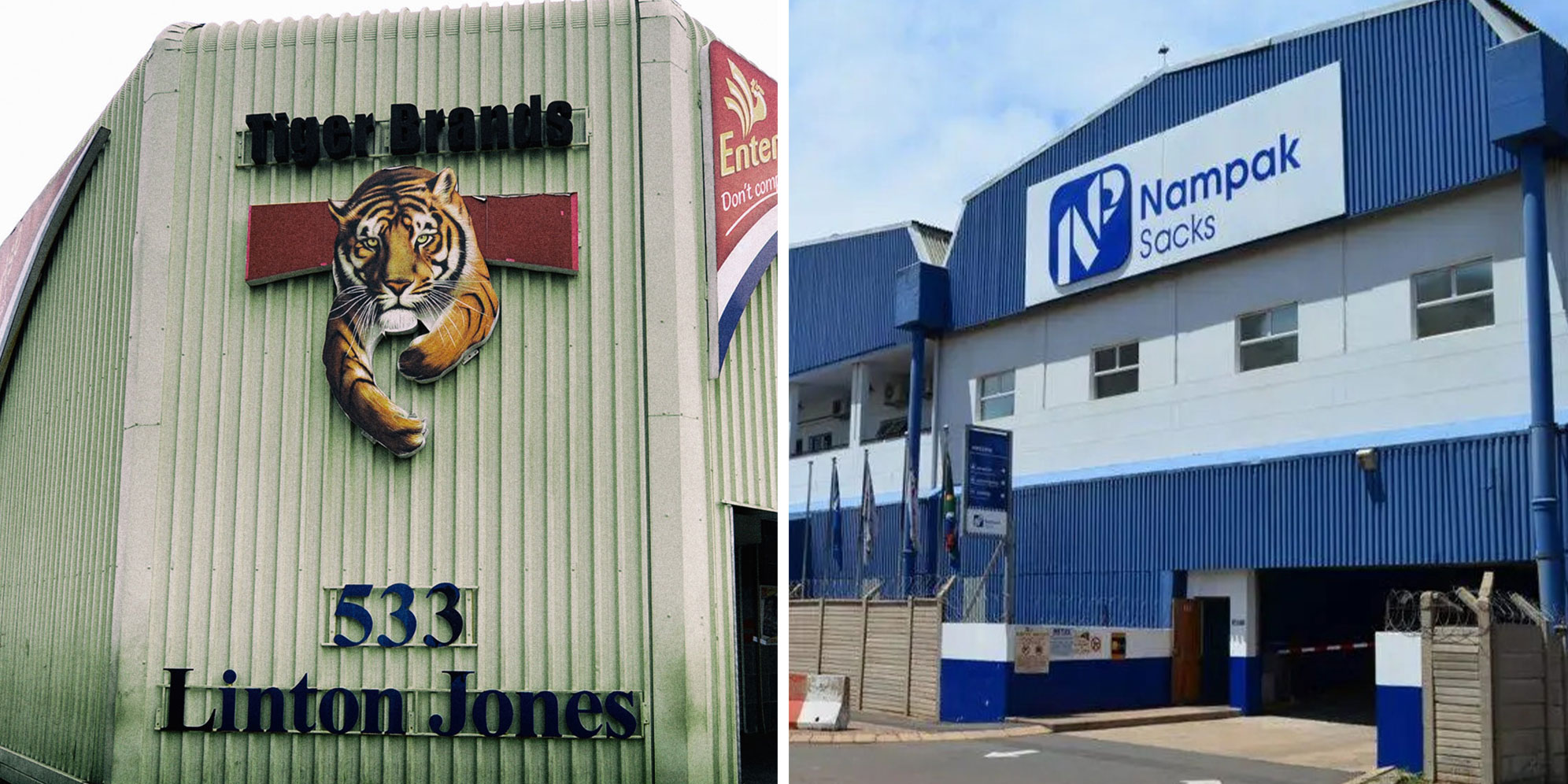 The Finance Ghost: Tiger Brands has a purr-fectly average year, but investors roar anyway