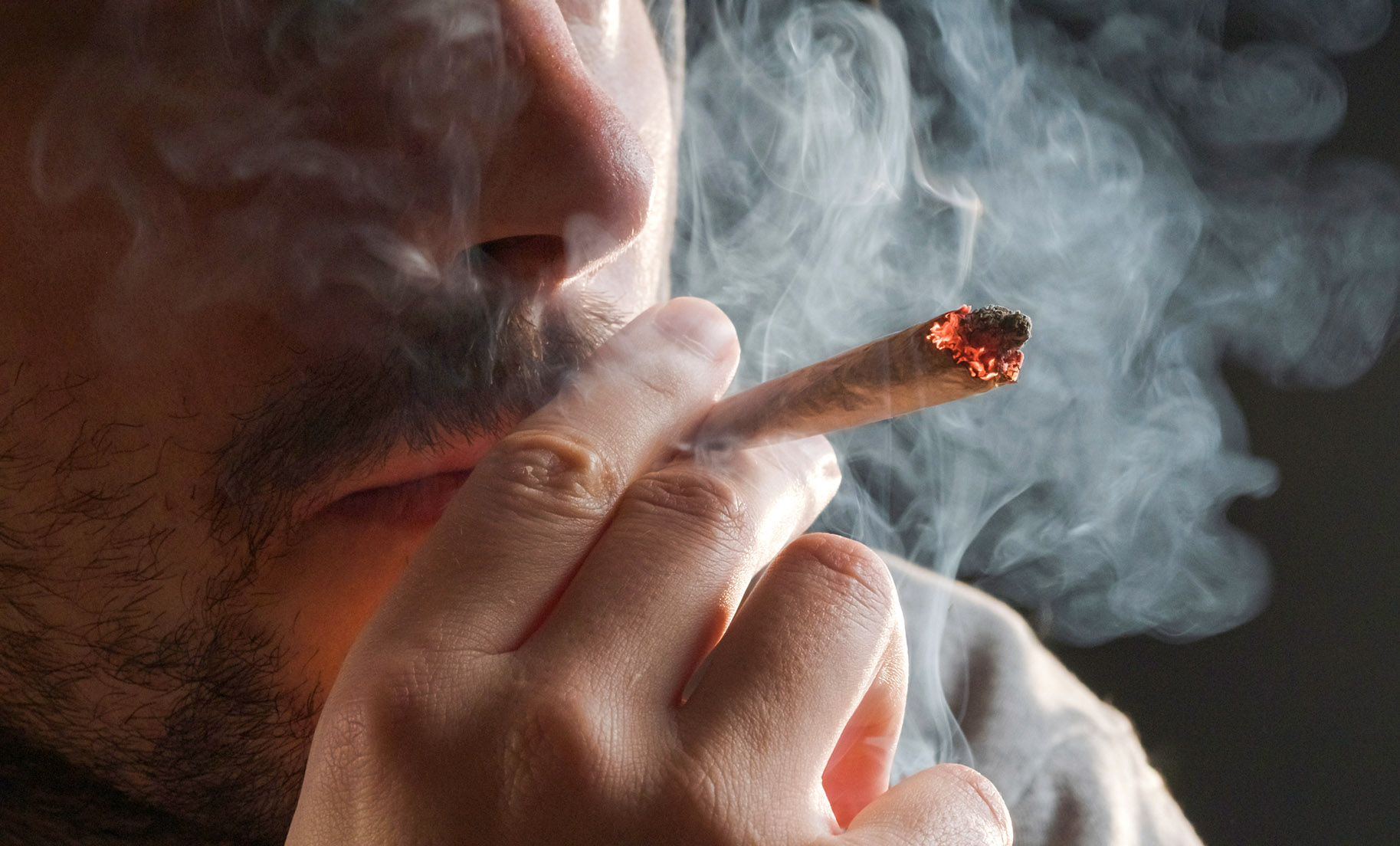 SA Human Rights Commission warns police against wrongful cannabis arrests